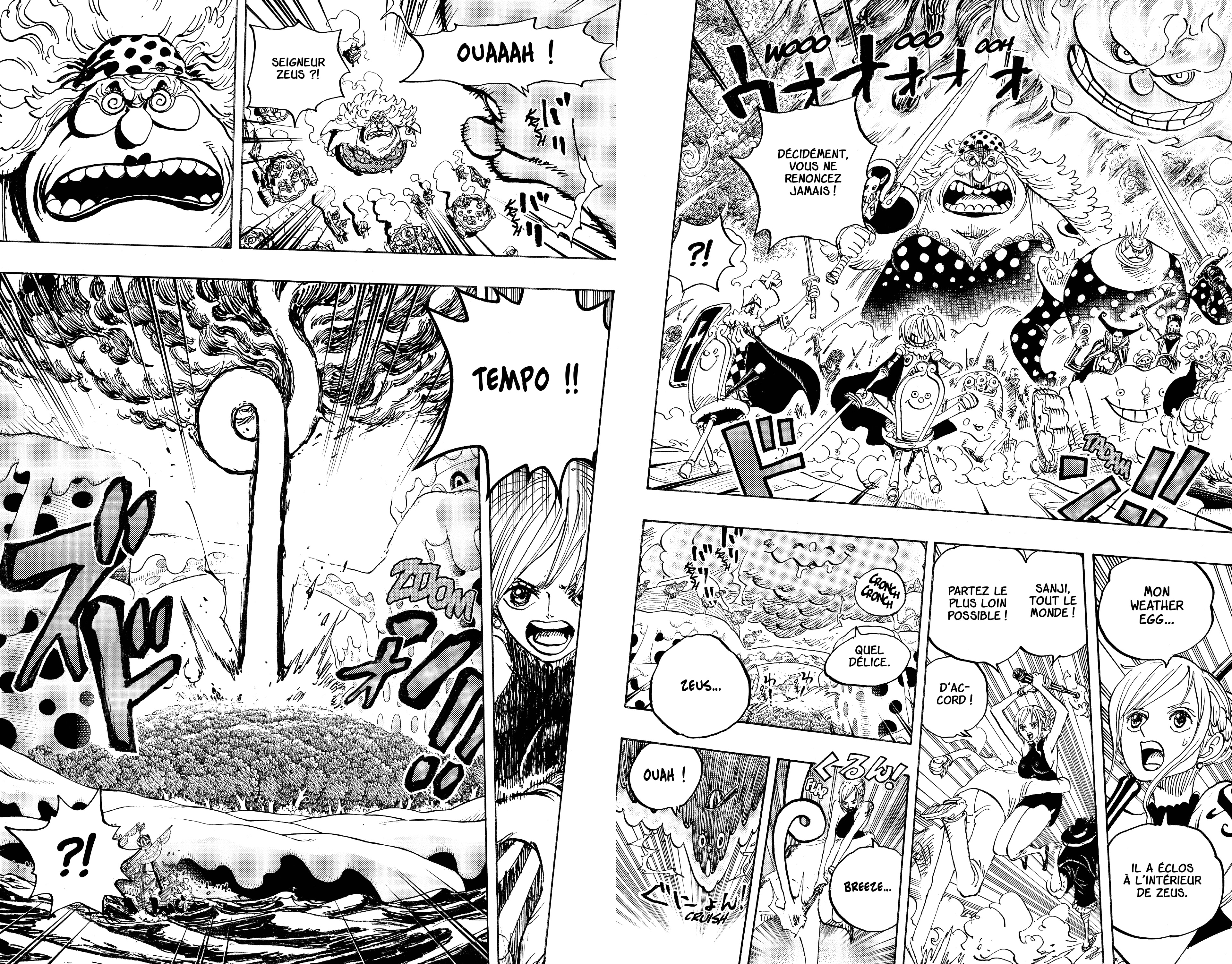 One Piece Chapitre 875 - Page 12