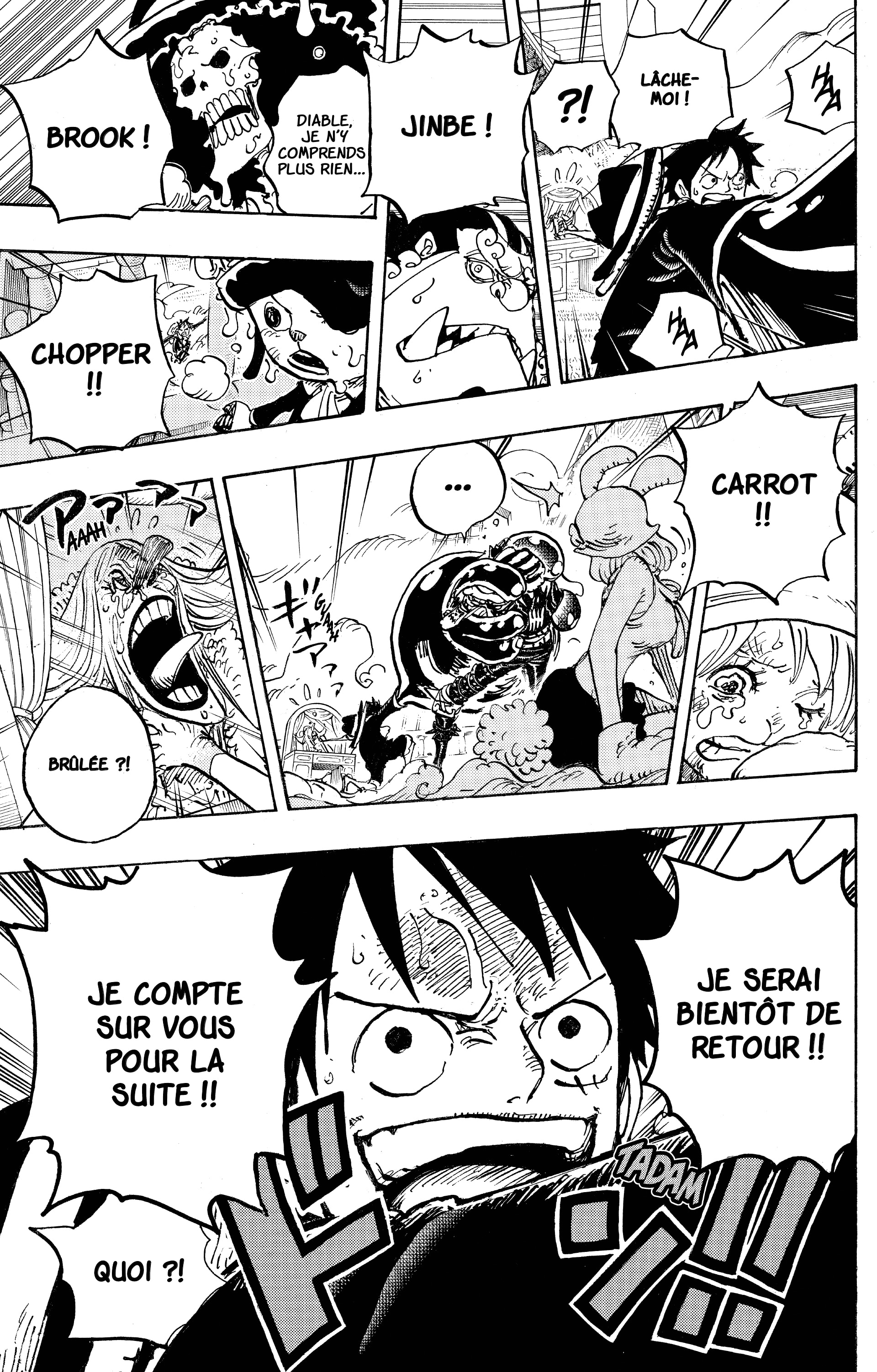 One Piece Chapitre 878 - Page 14