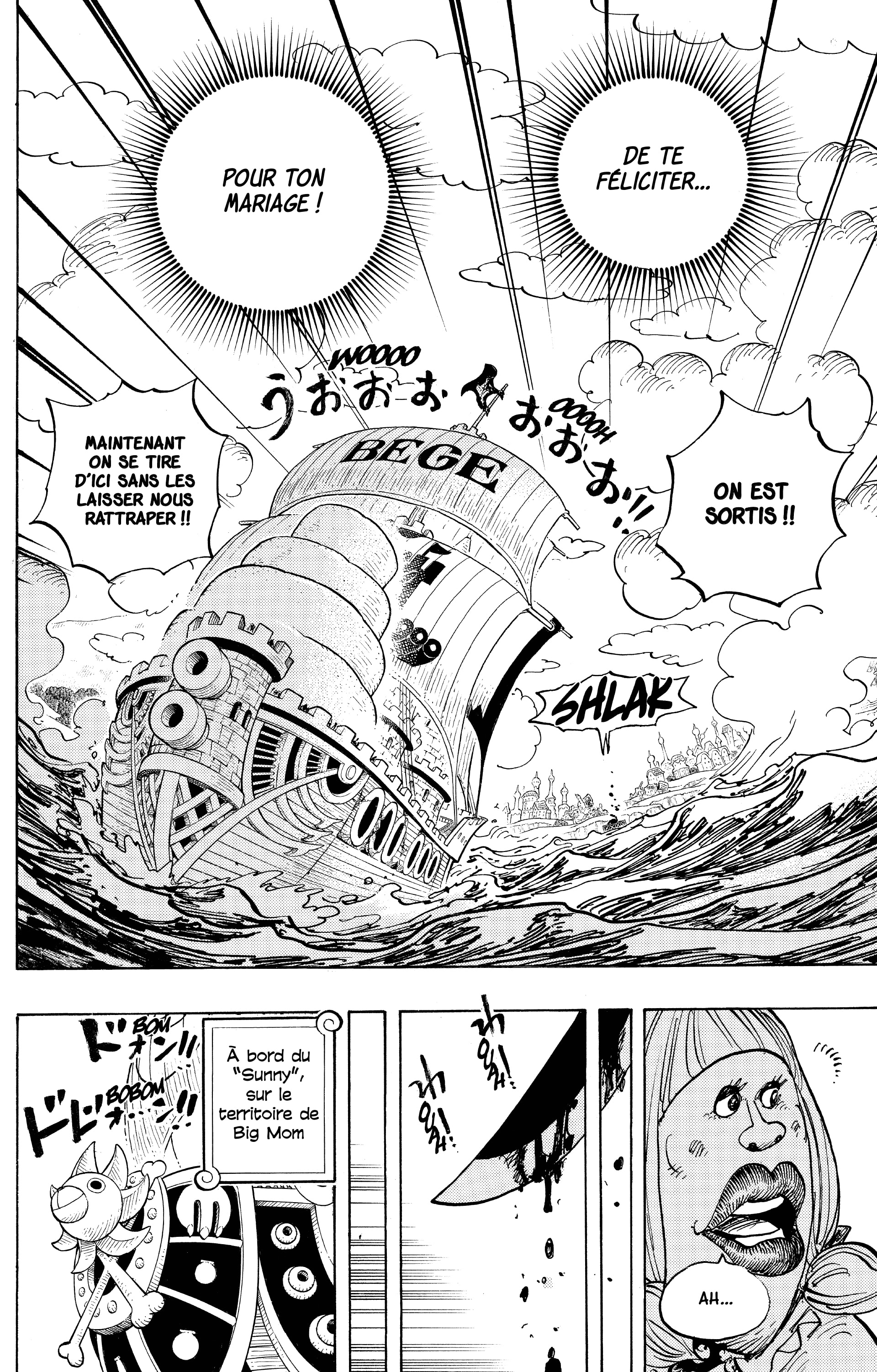 One Piece Chapitre 887 - Page 14