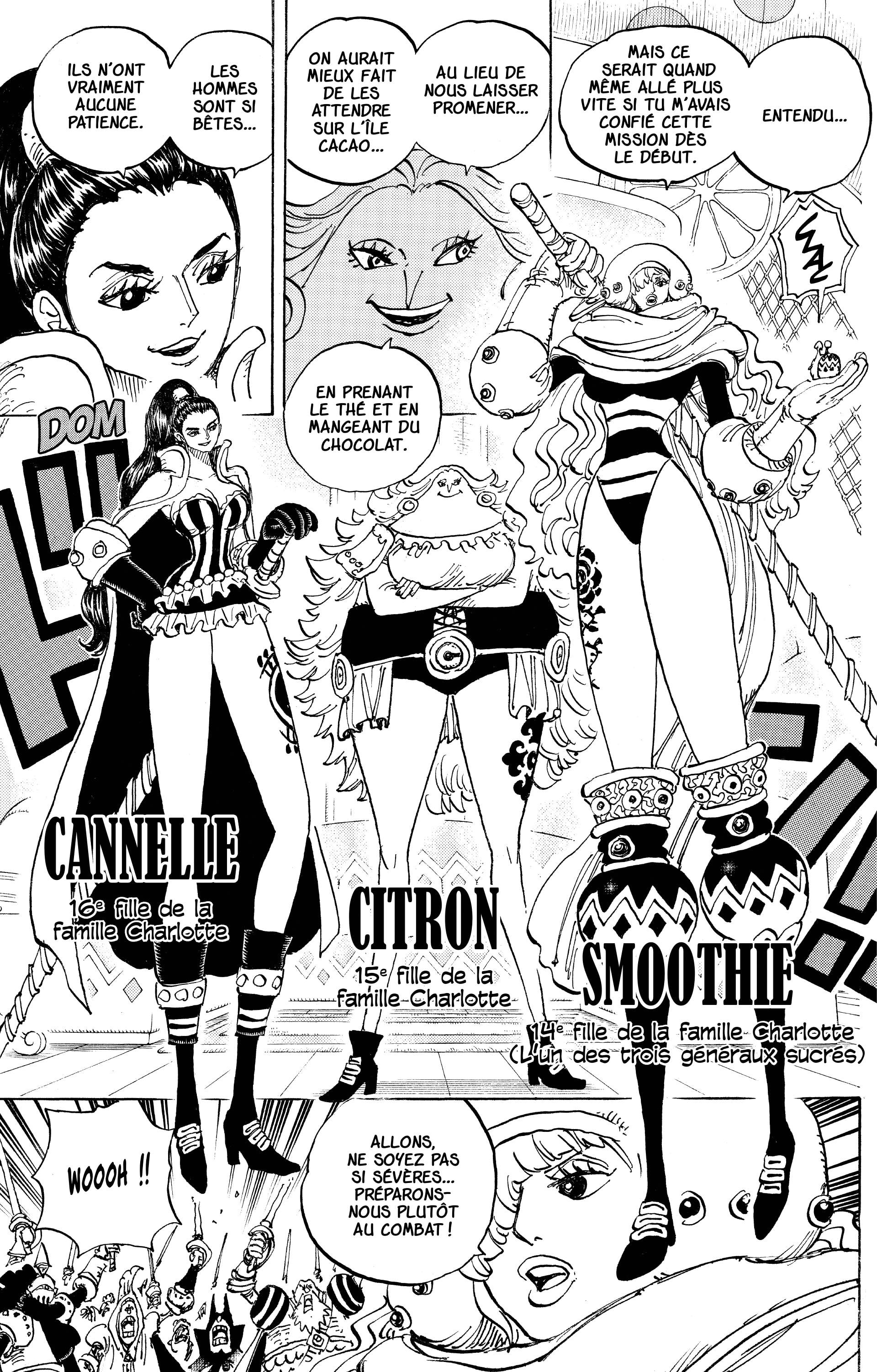 One Piece Chapitre 892 - Page 11