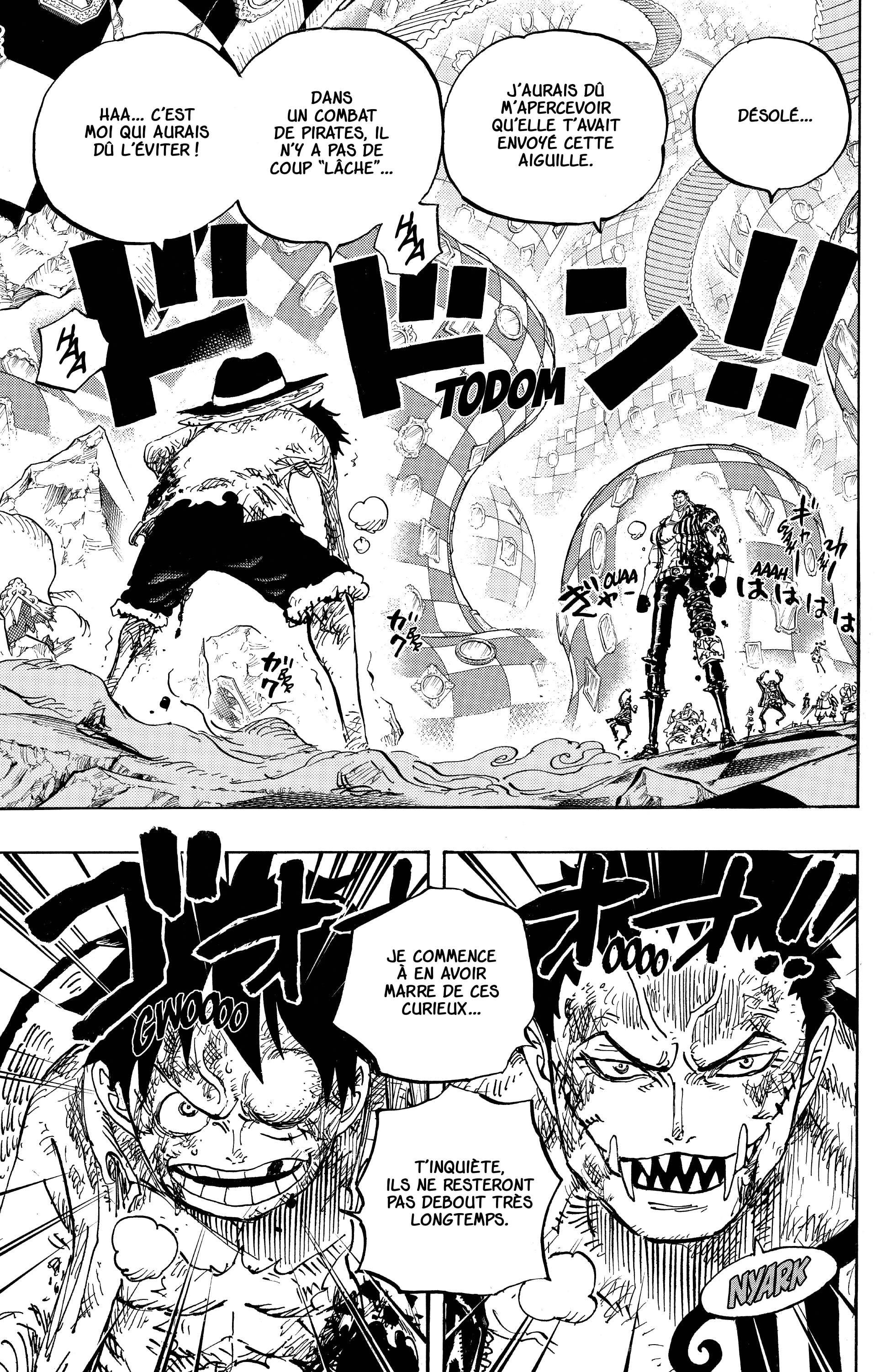 One Piece Chapitre 893 - Page 15