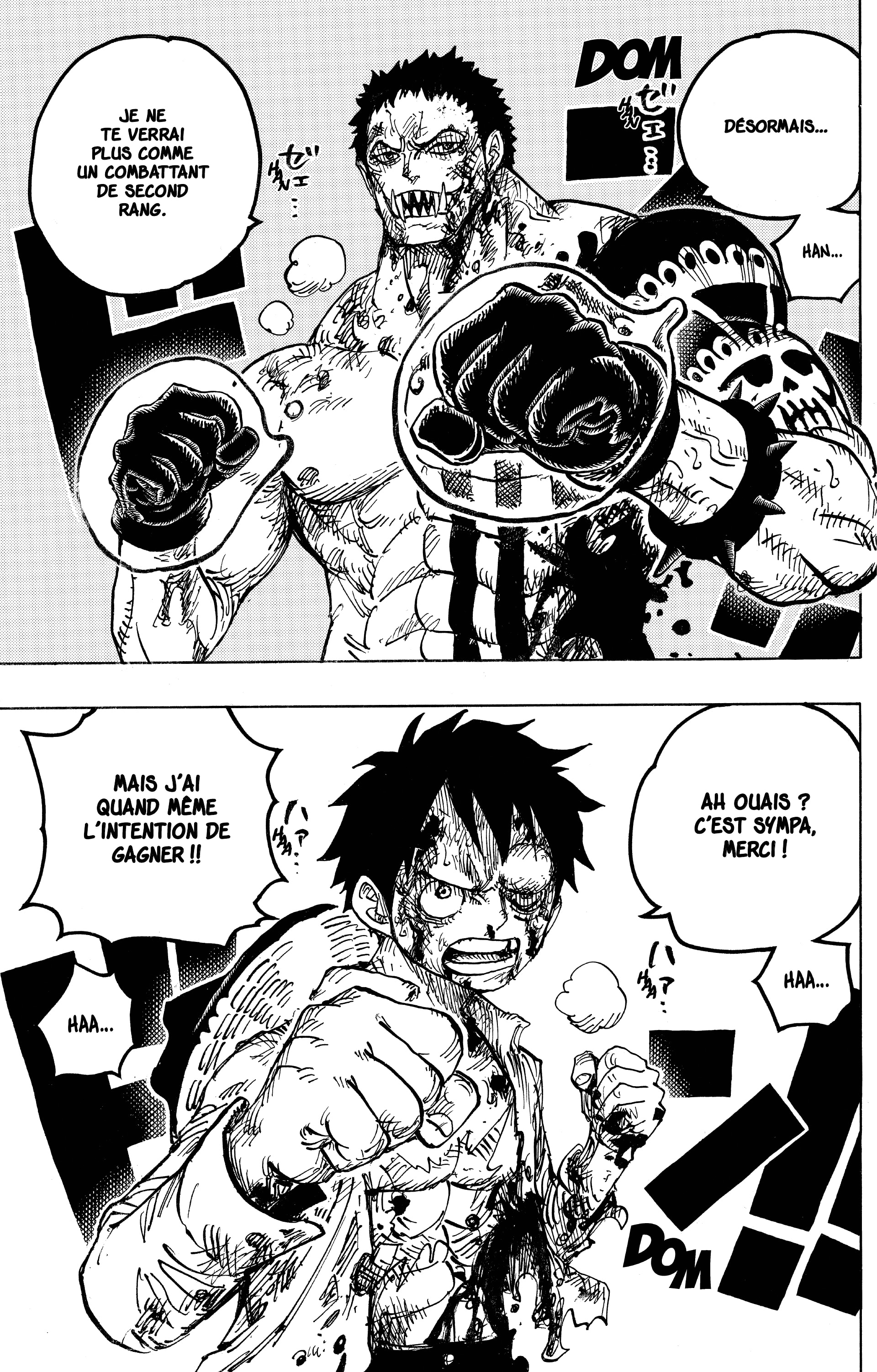 One Piece Chapitre 893 - Page 17