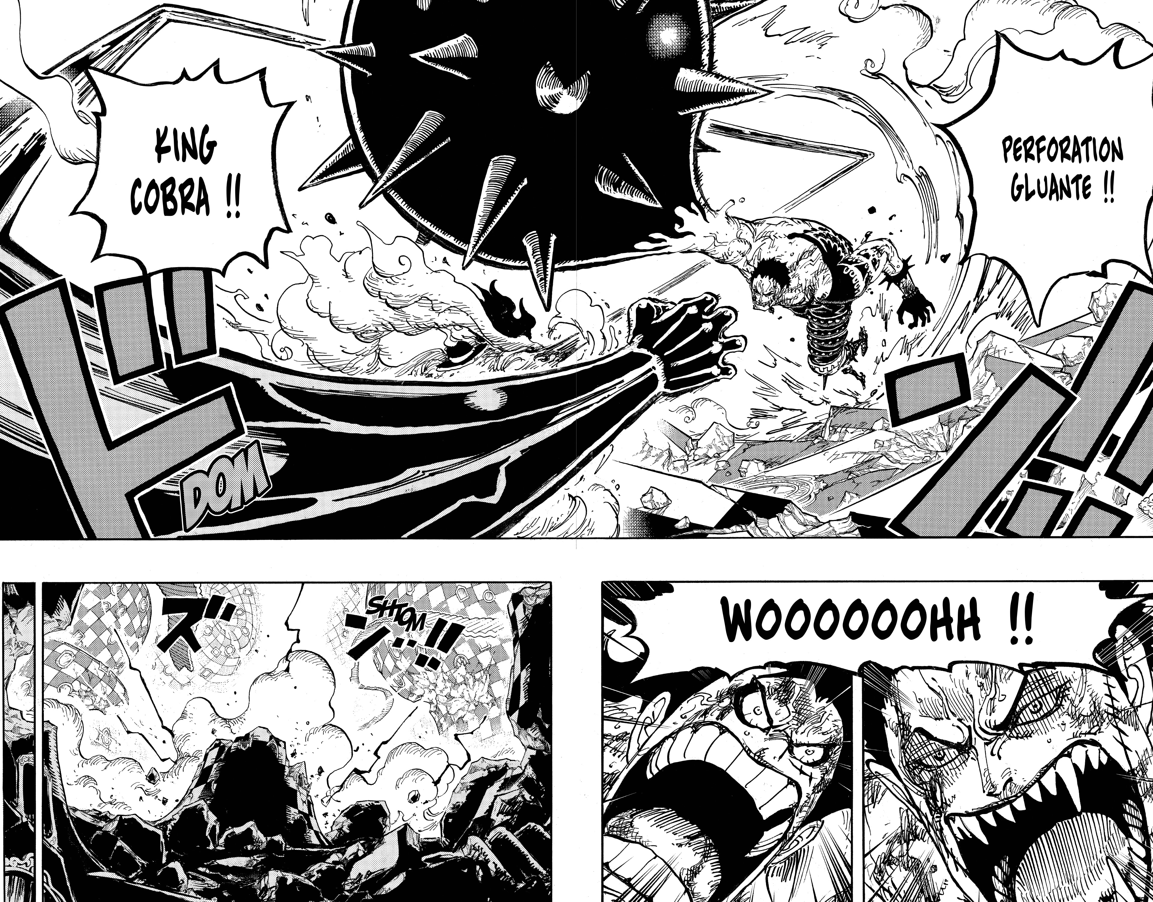 One Piece Chapitre 895 - Page 15