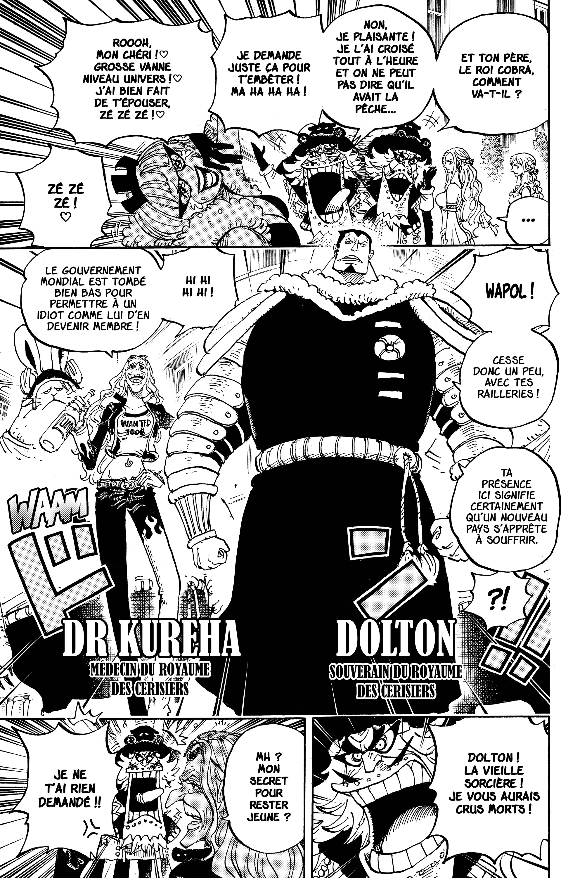 One Piece Chapitre 906 - Page 13