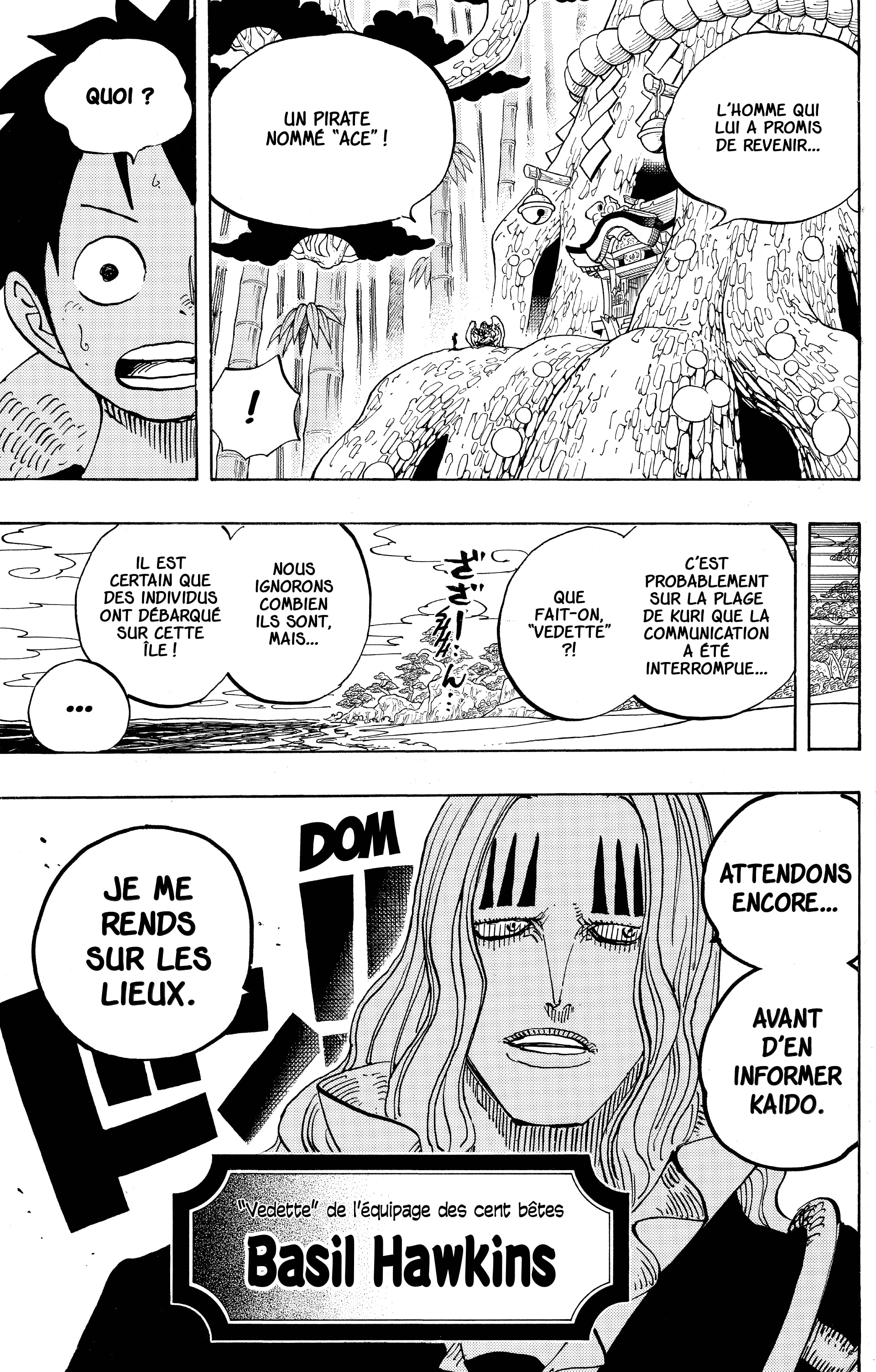 One Piece Chapitre 911 - Page 23