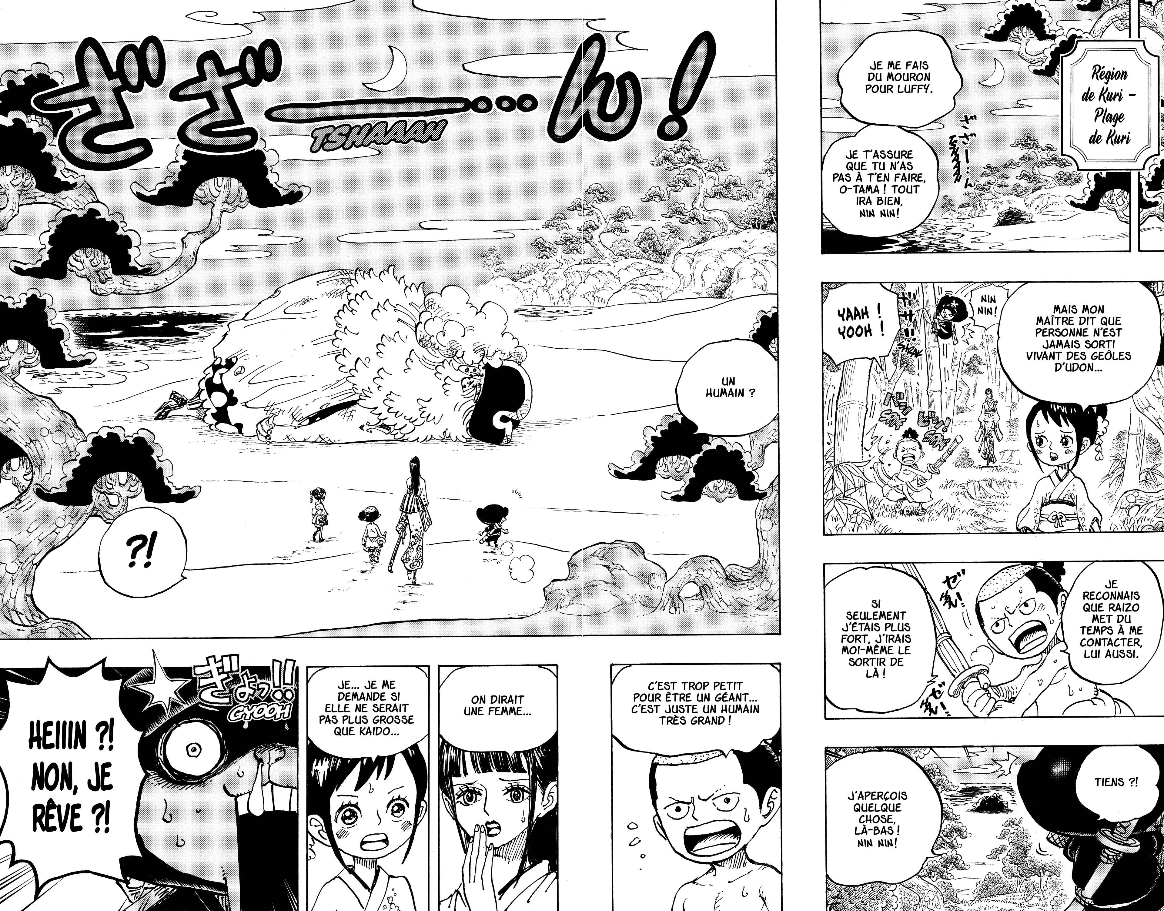 One Piece Chapitre 931 - Page 13