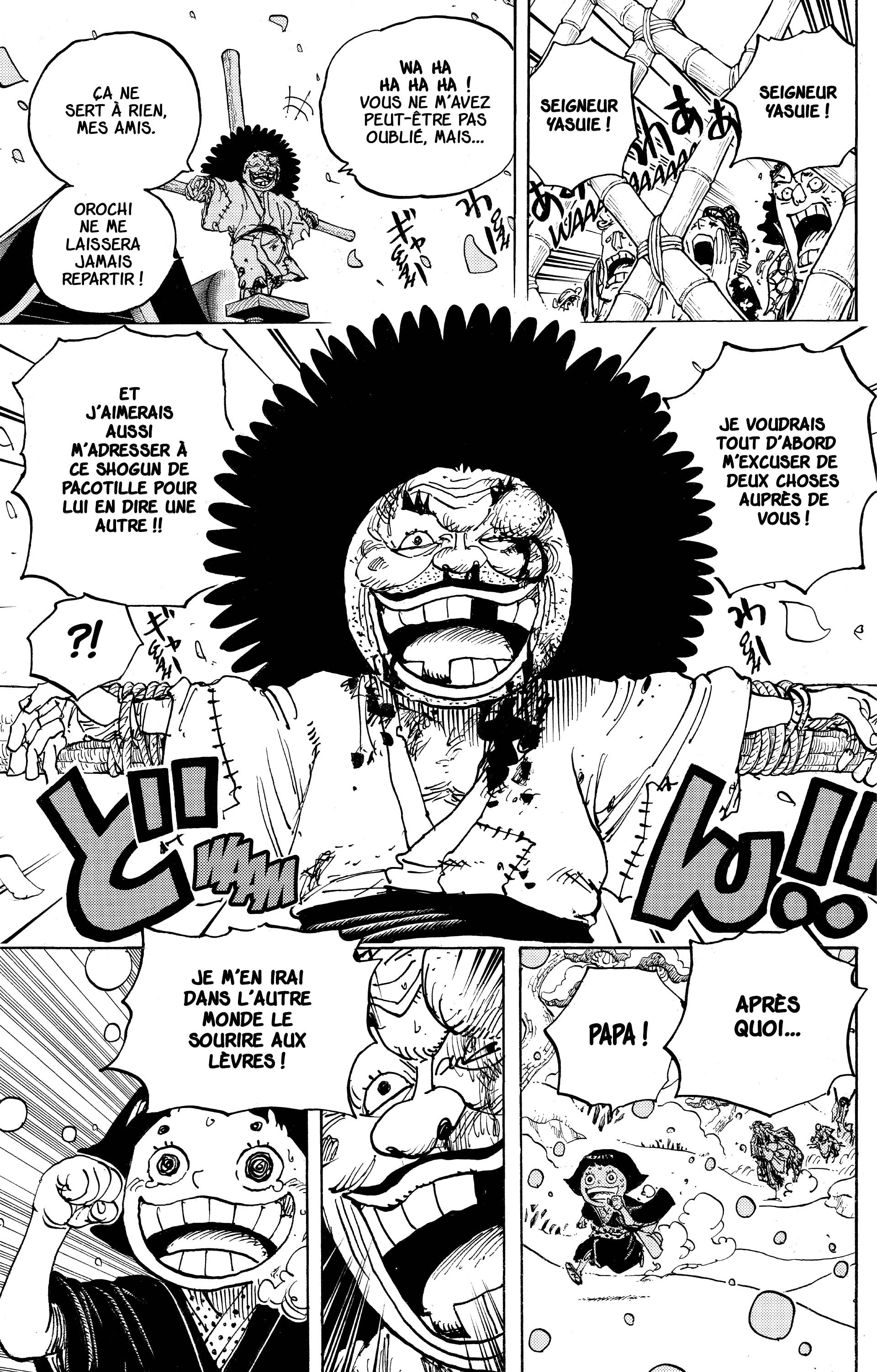 One Piece Chapitre 941 - Page 16