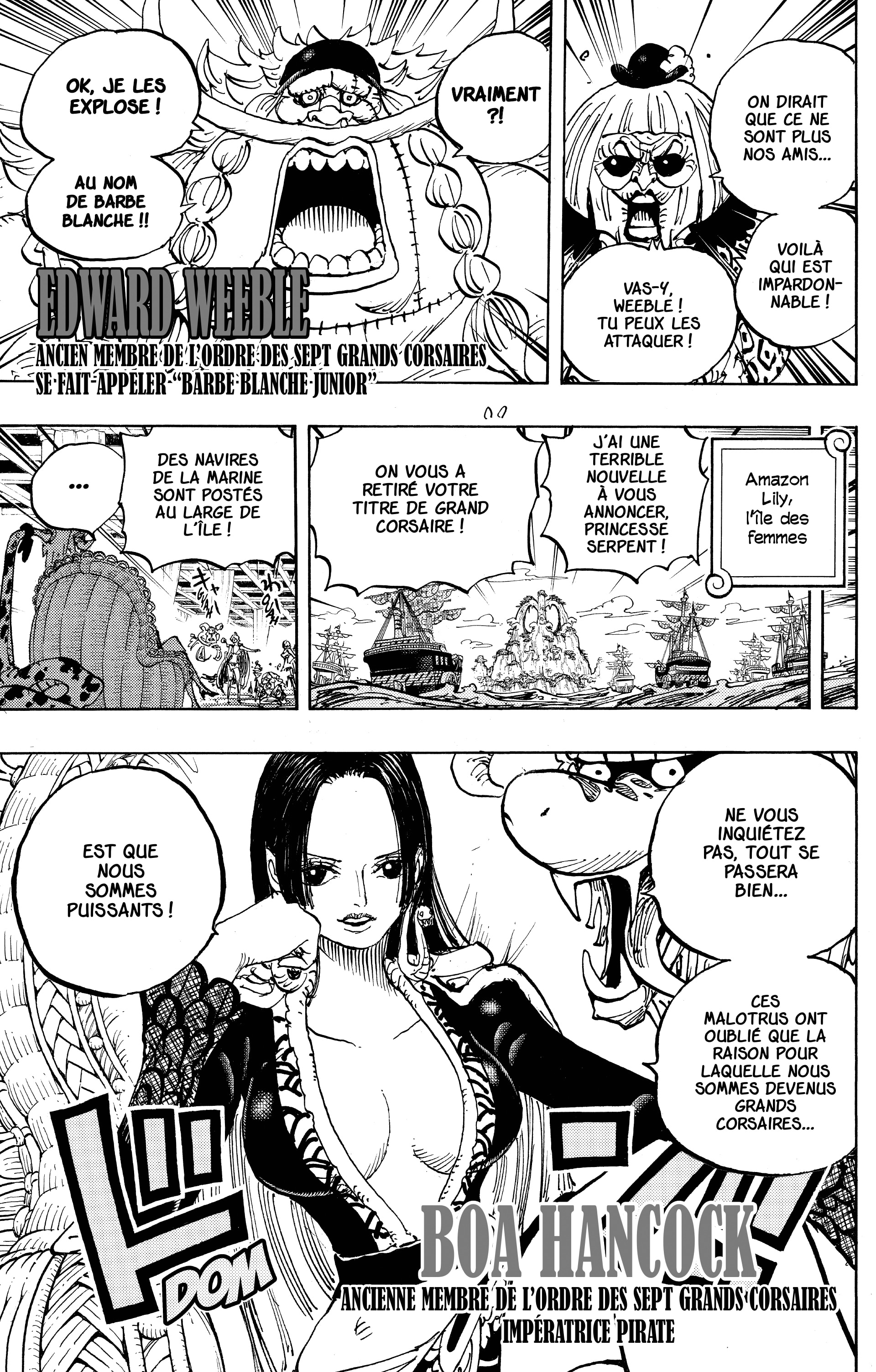 One Piece Chapitre 956 - Page 17