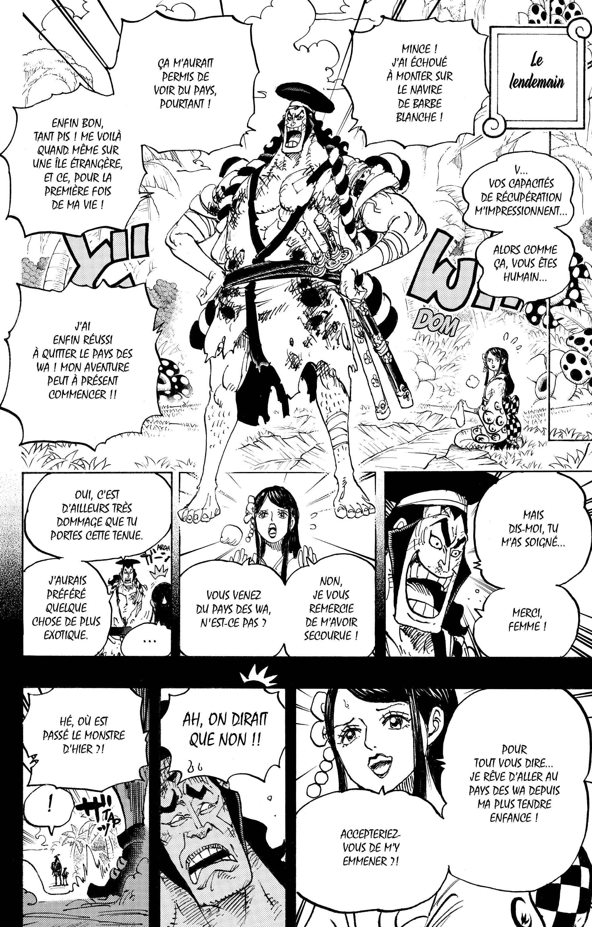 One Piece Chapitre 964 - Page 12