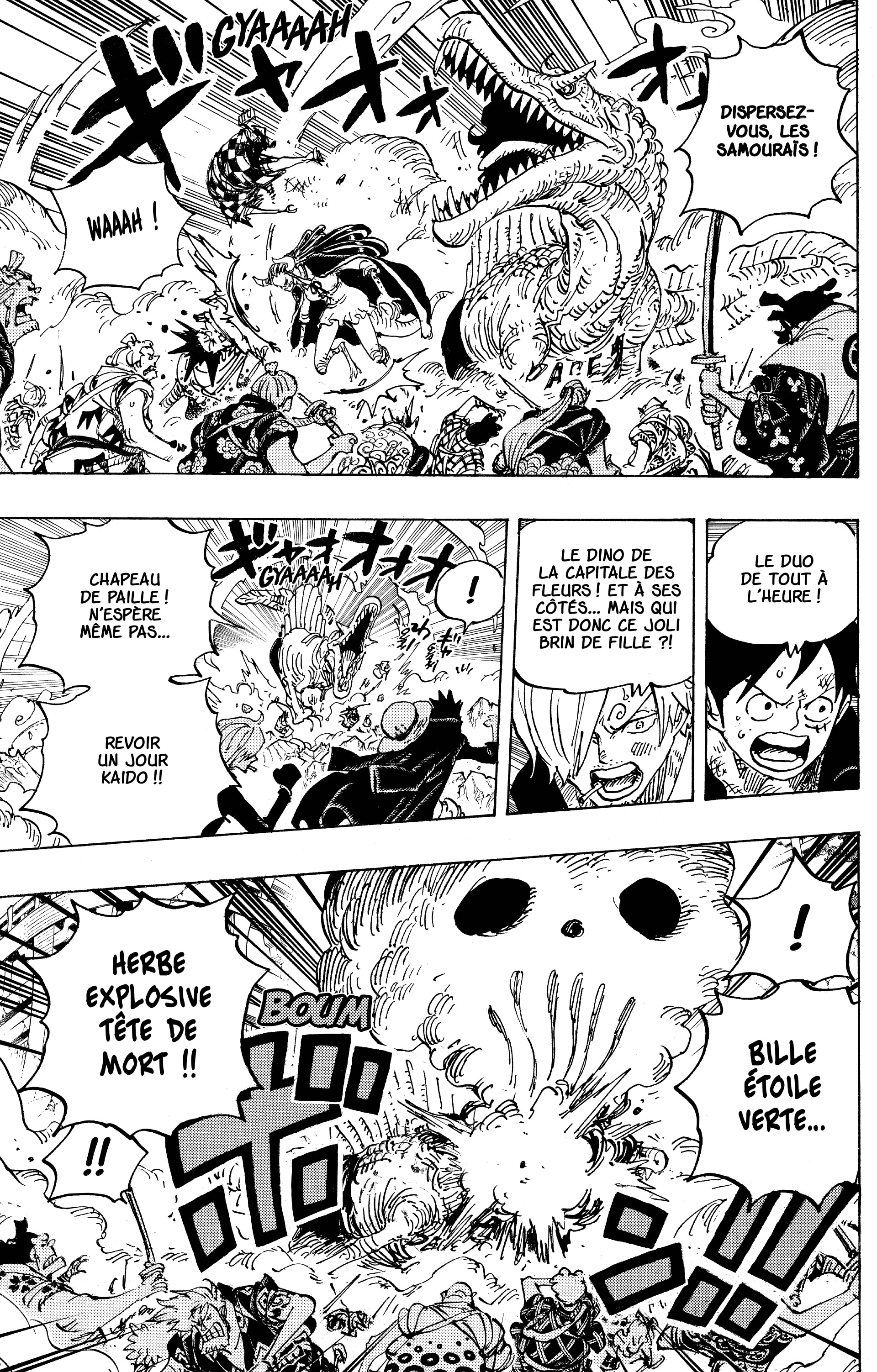 One Piece Chapitre 991 - Page 5