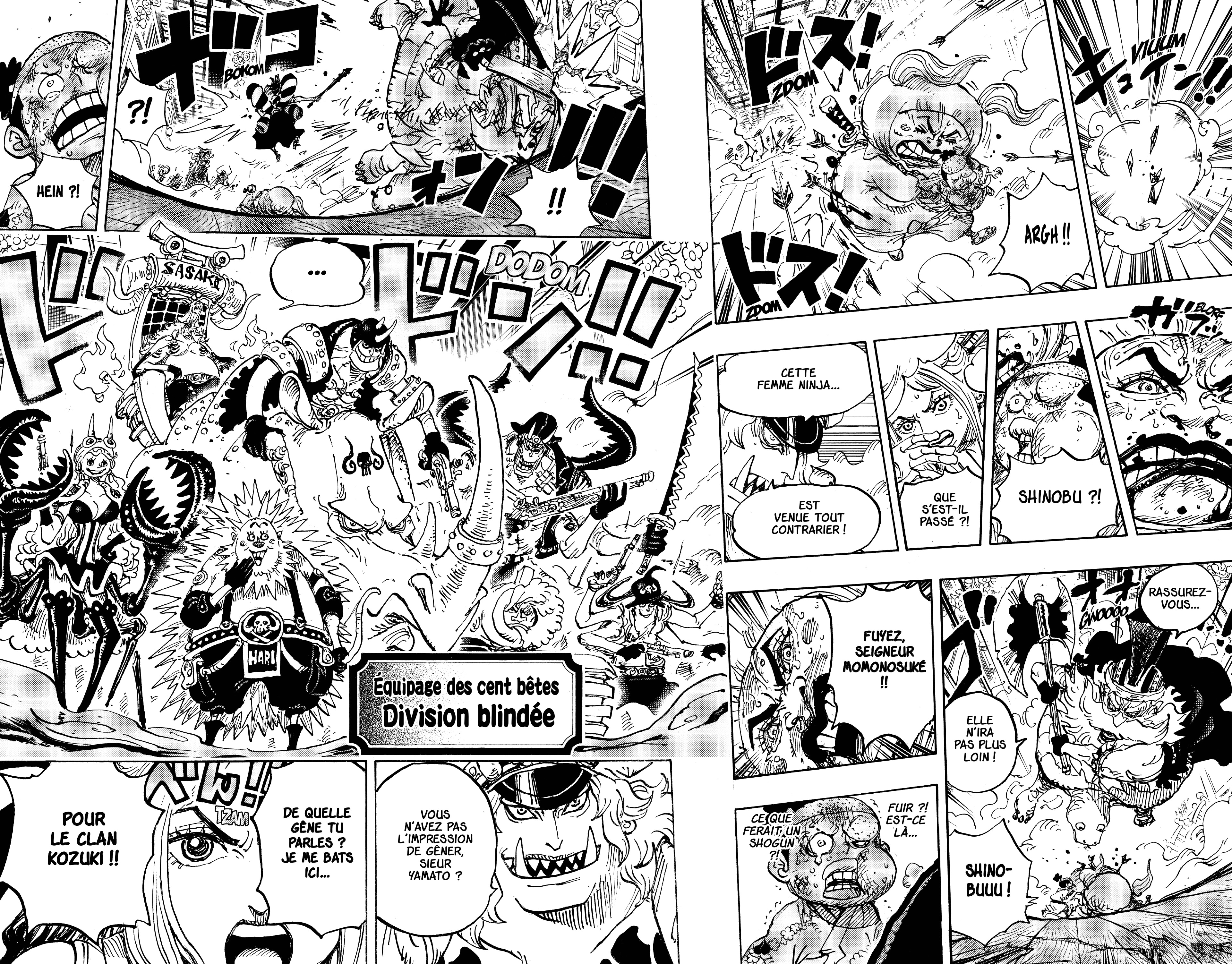 One Piece Chapitre 993 - Page 12