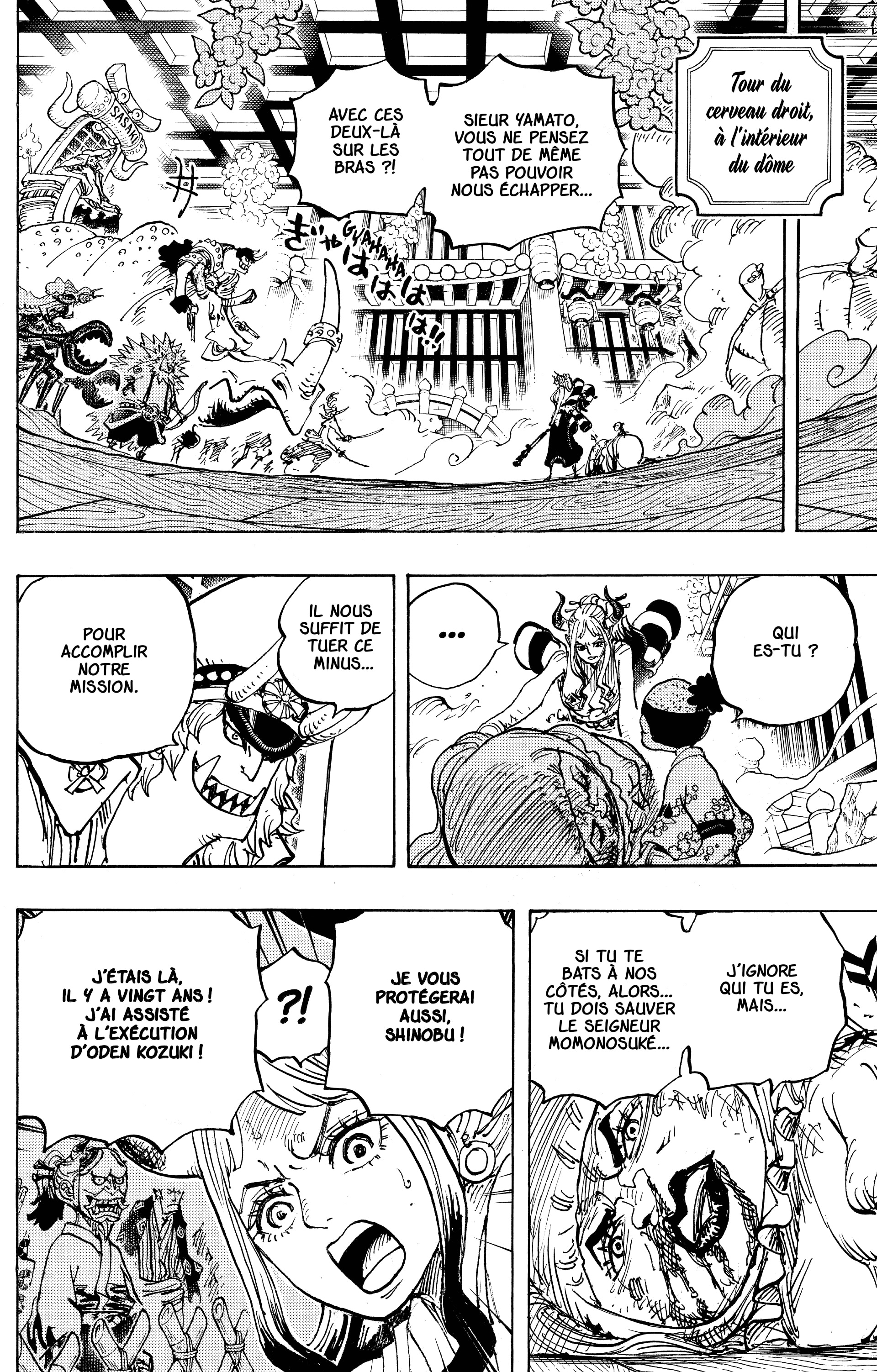 One Piece Chapitre 994 - Page 13