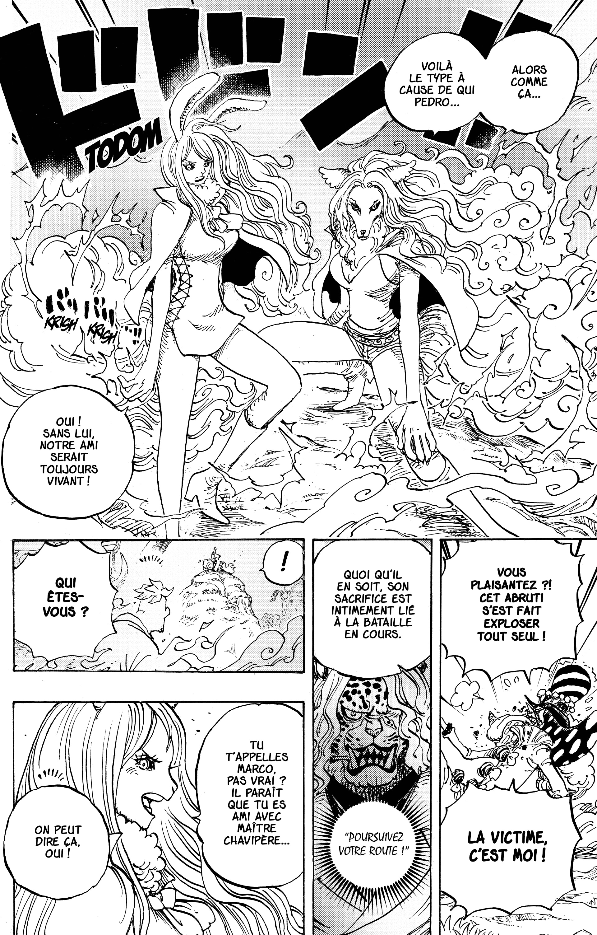 One Piece Chapitre 995 - Page 11