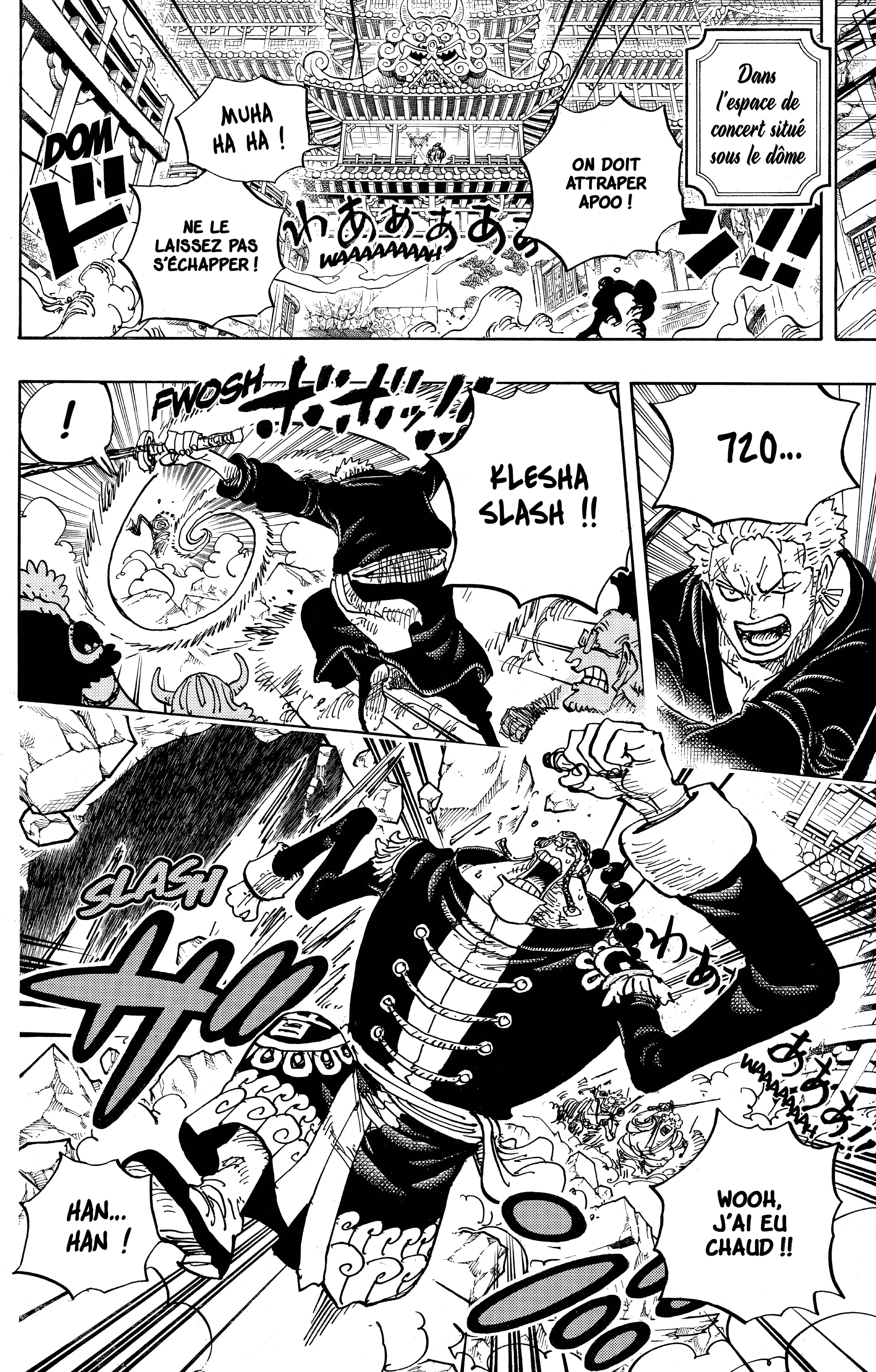 One Piece Chapitre 995 - Page 13