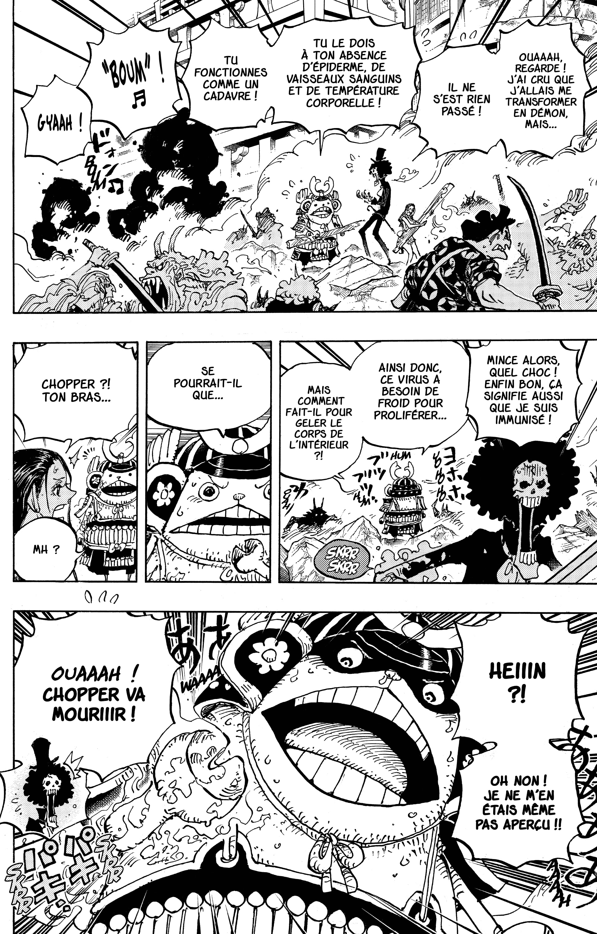 One Piece Chapitre 995 - Page 17