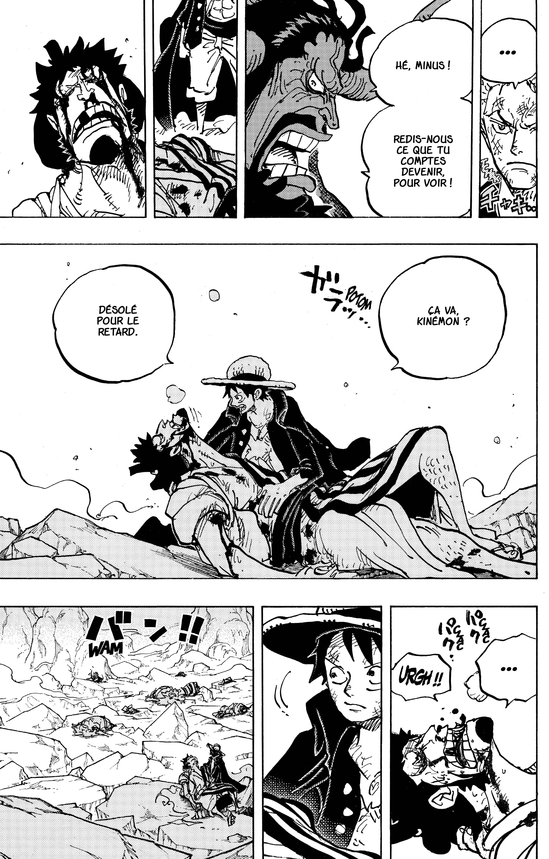 One Piece Chapitre 1000 - Page 11