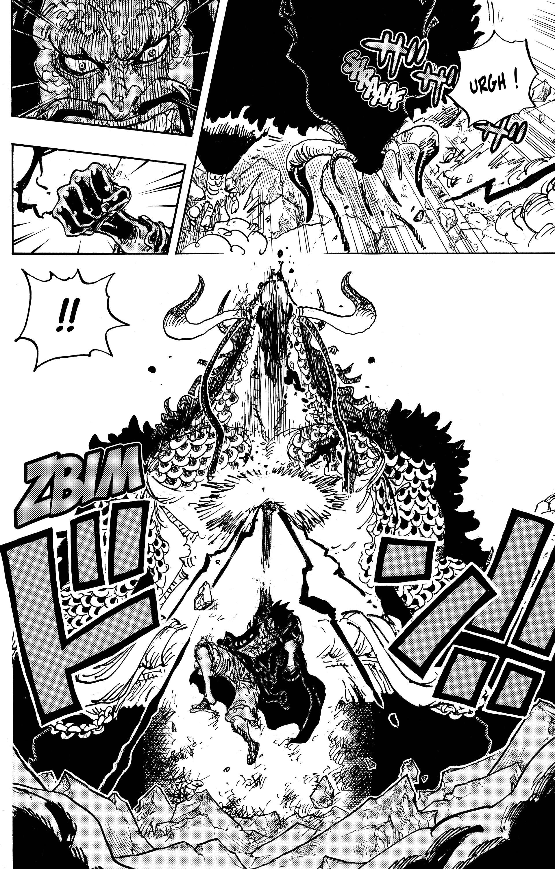 One Piece Chapitre 1010 - Page 15
