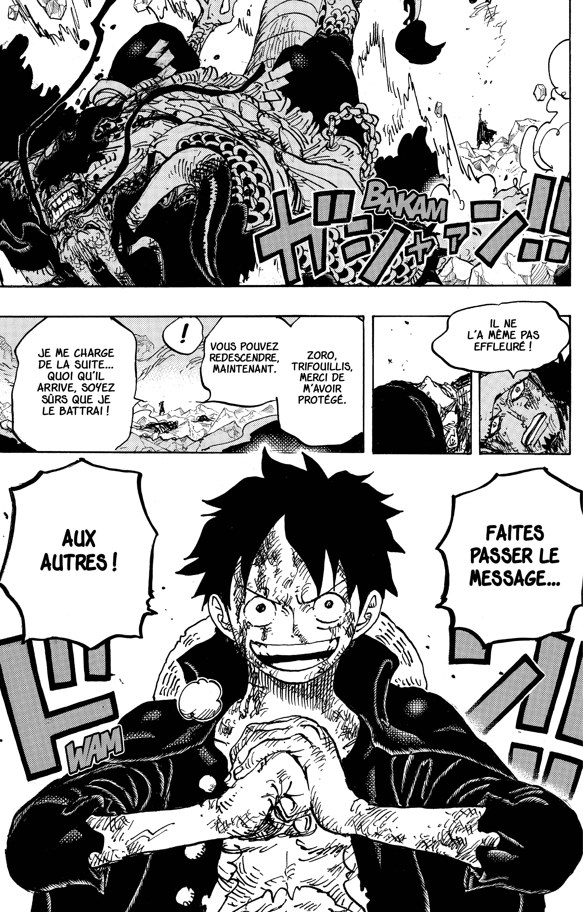 One Piece Chapitre 1010 - Page 16