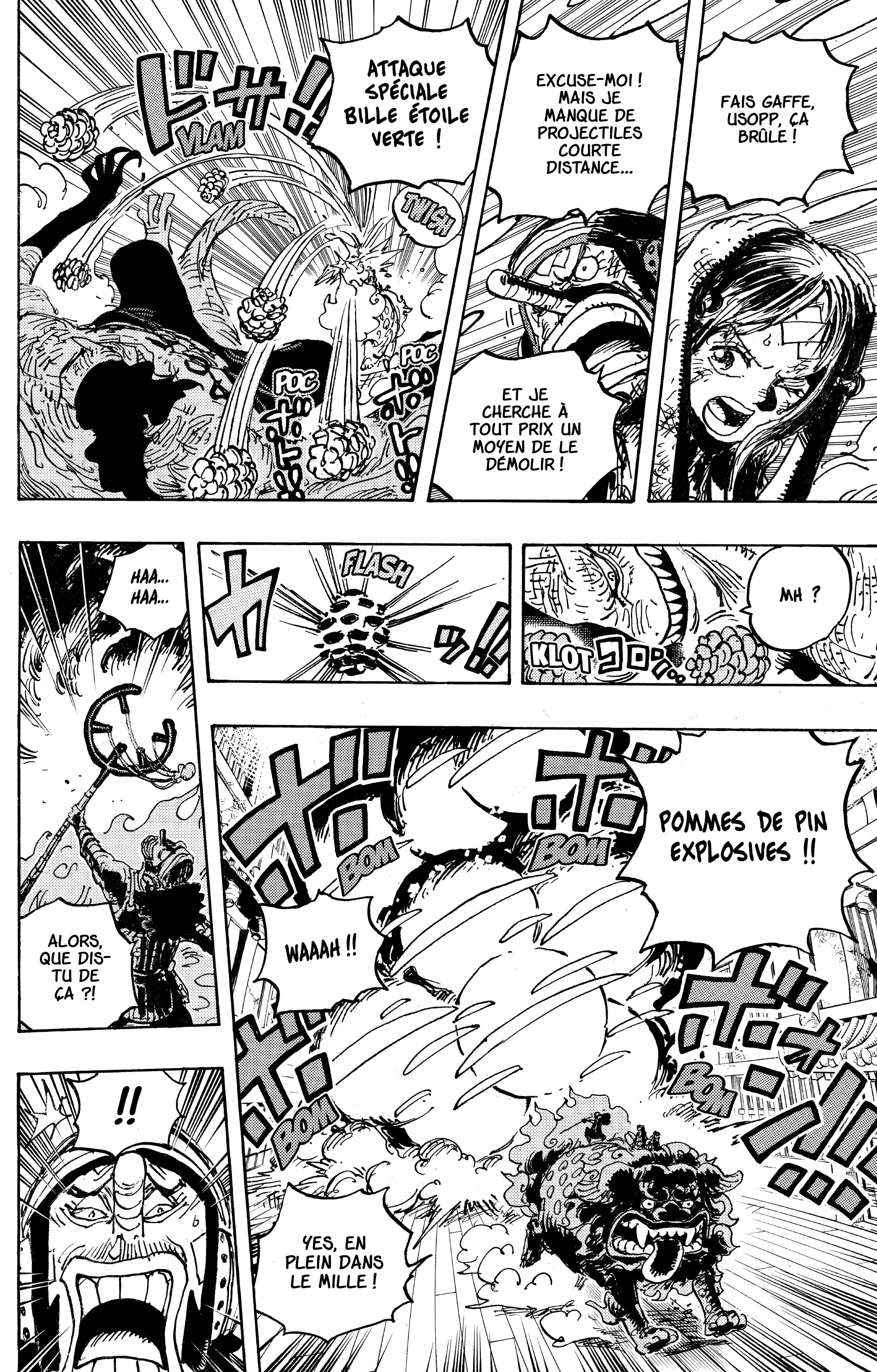 One Piece Chapitre 1011 - Page 13