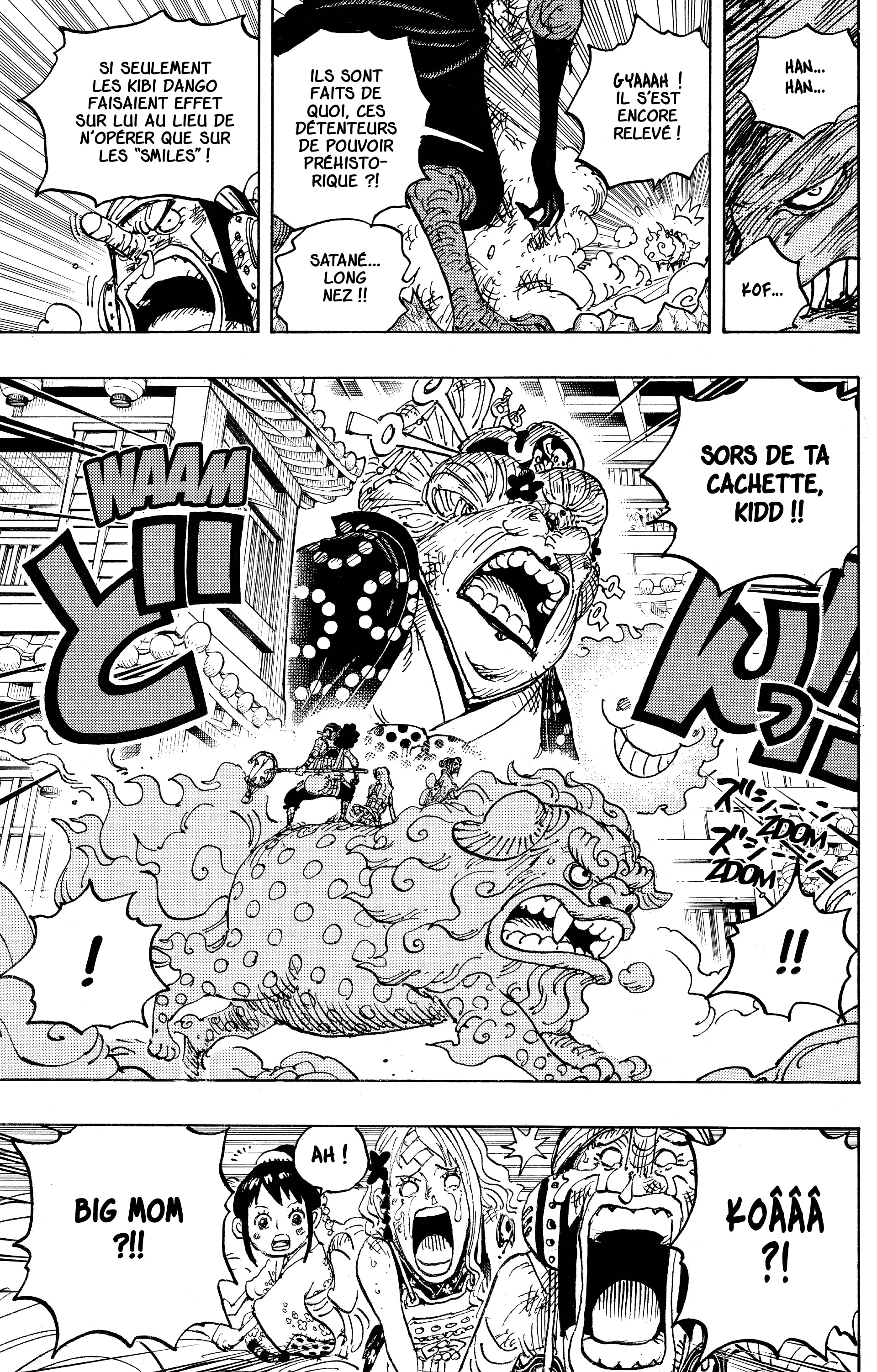 One Piece Chapitre 1011 - Page 14