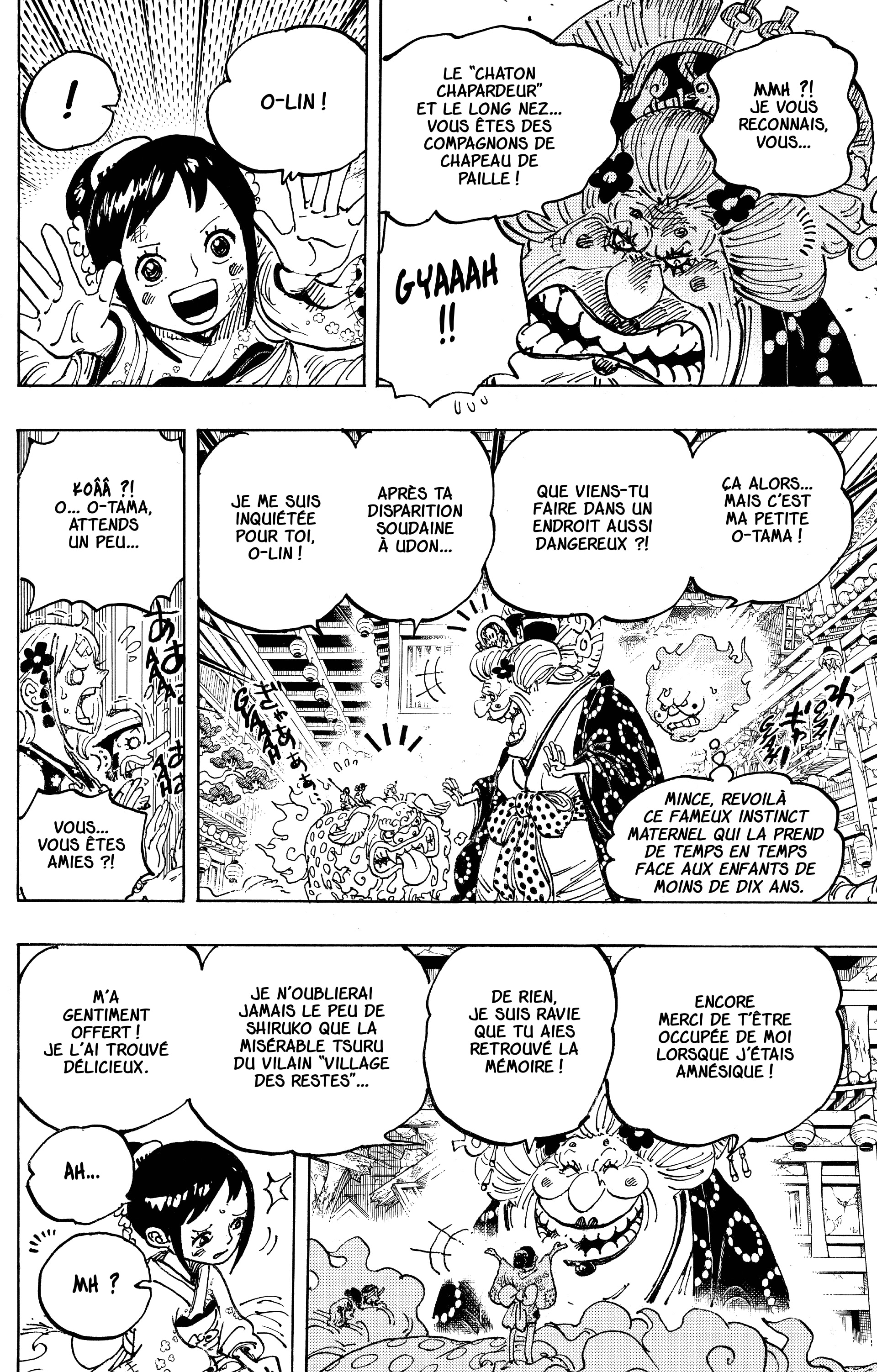 One Piece Chapitre 1011 - Page 15