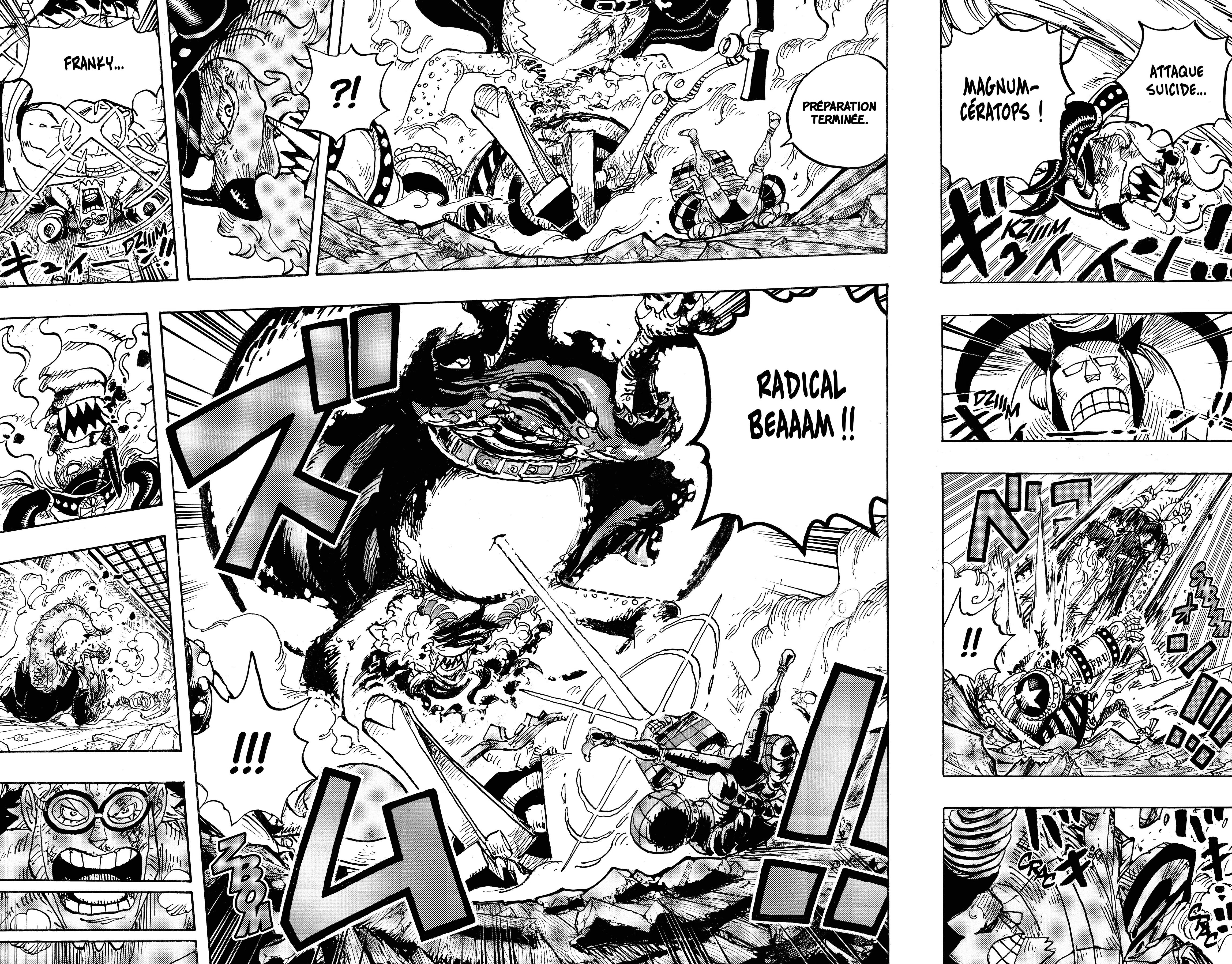One Piece Chapitre 1019 - Page 15