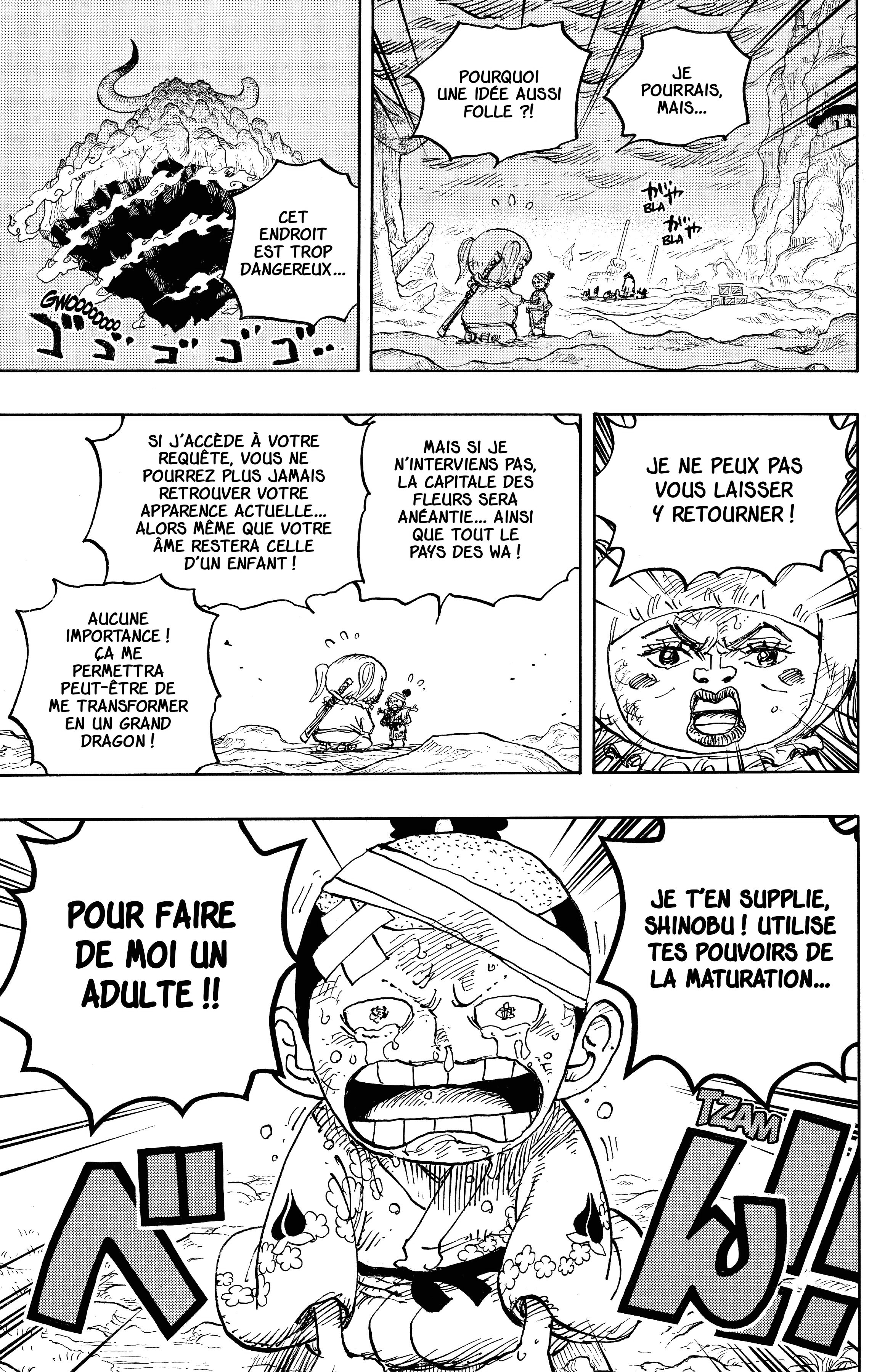 One Piece Chapitre 1021 - Page 15