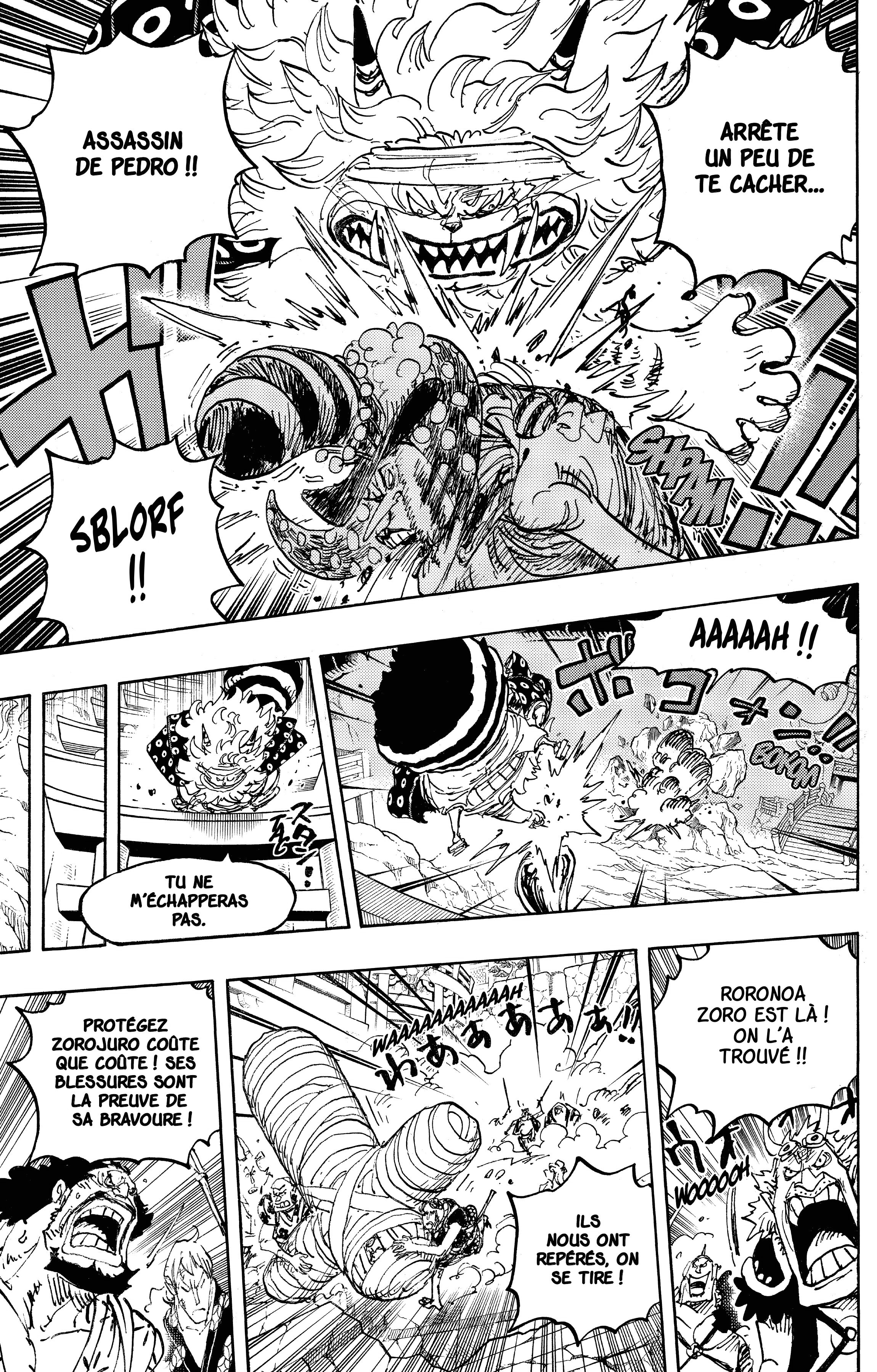 One Piece Chapitre 1022 - Page 12