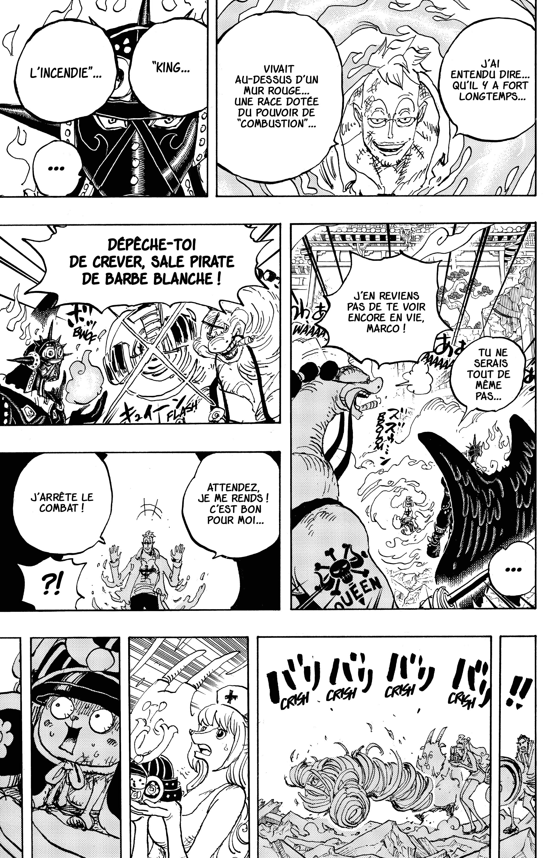 One Piece Chapitre 1022 - Page 14