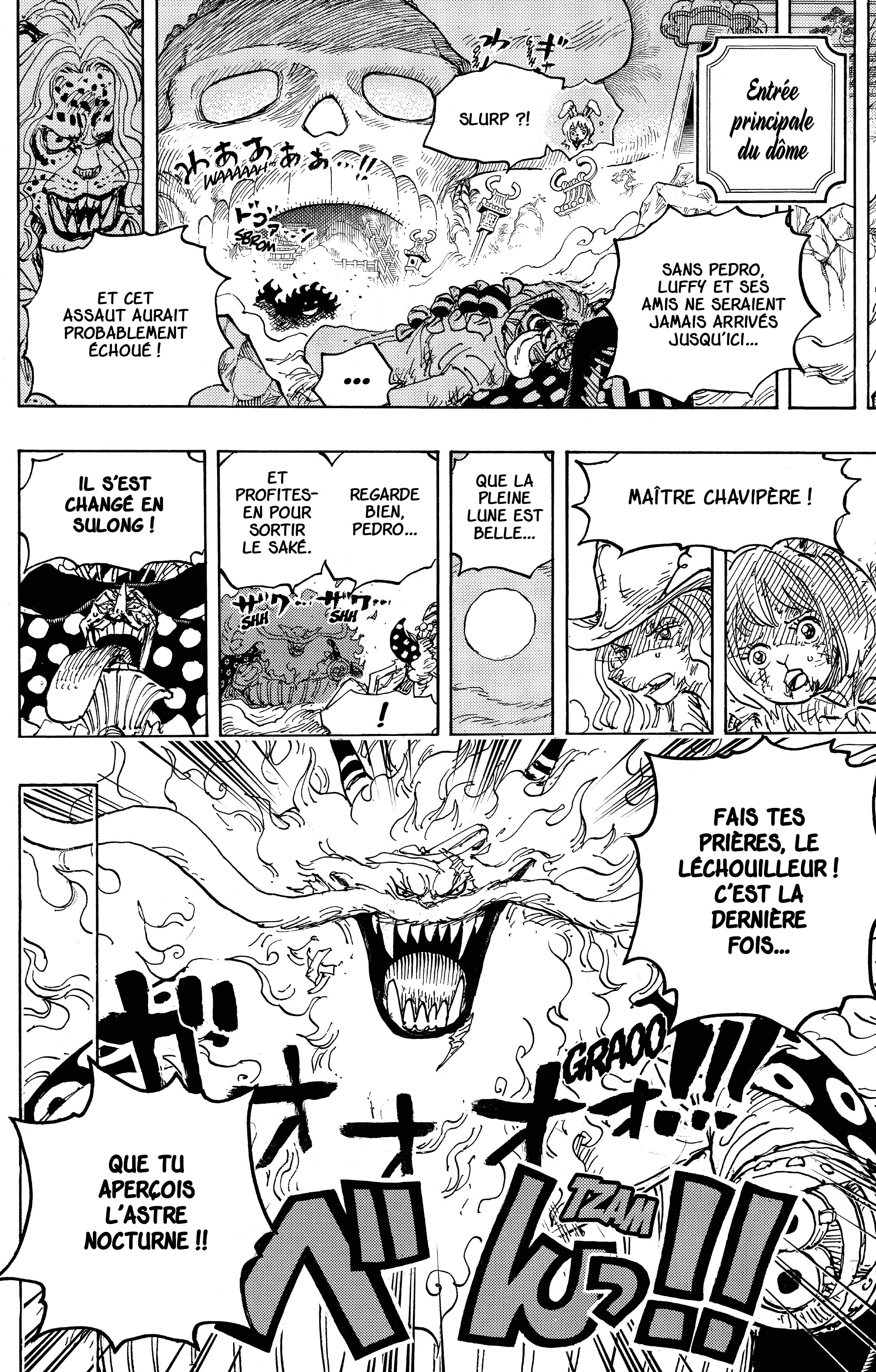 One Piece Chapitre 1023 - Page 14