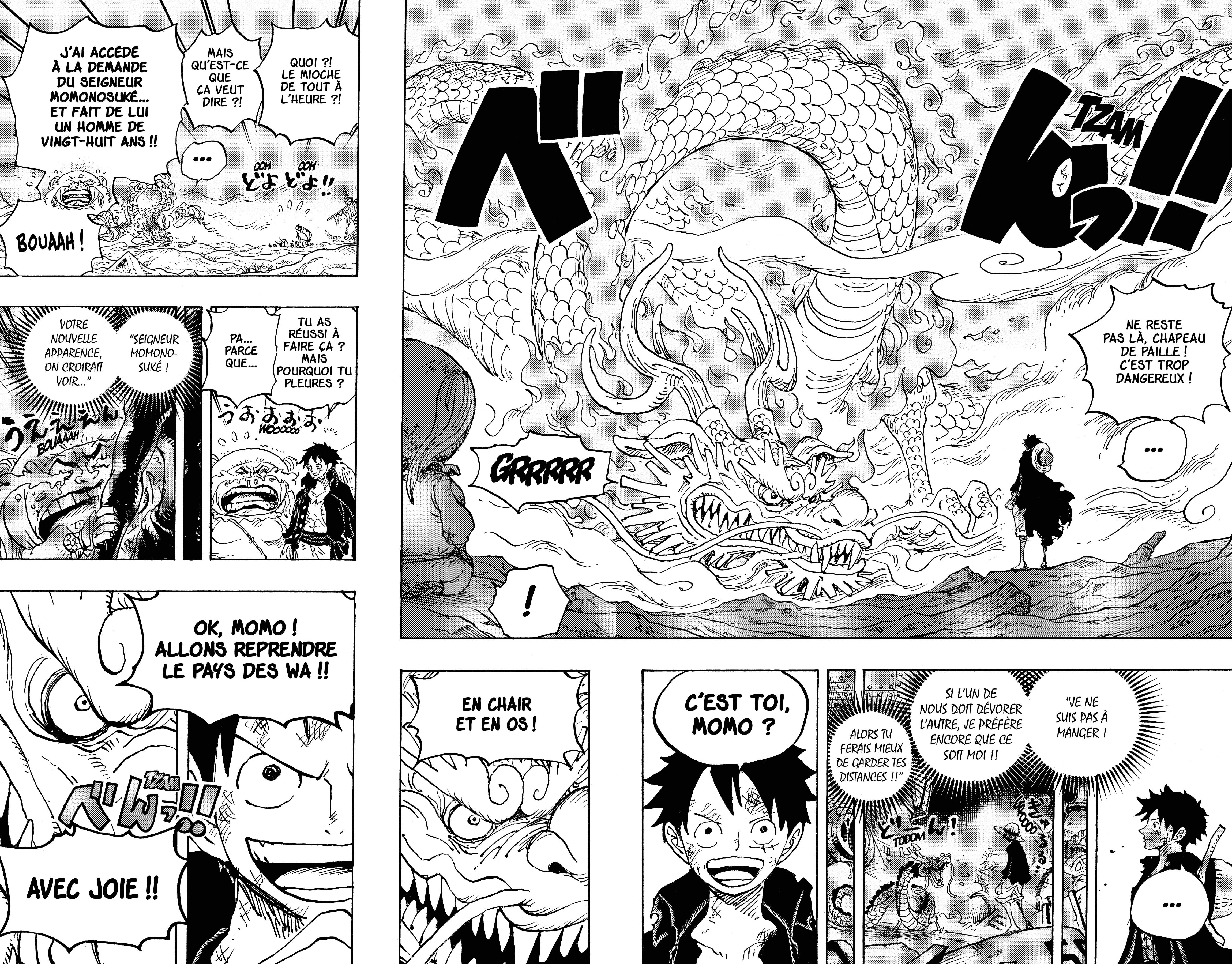 One Piece Chapitre 1023 - Page 16