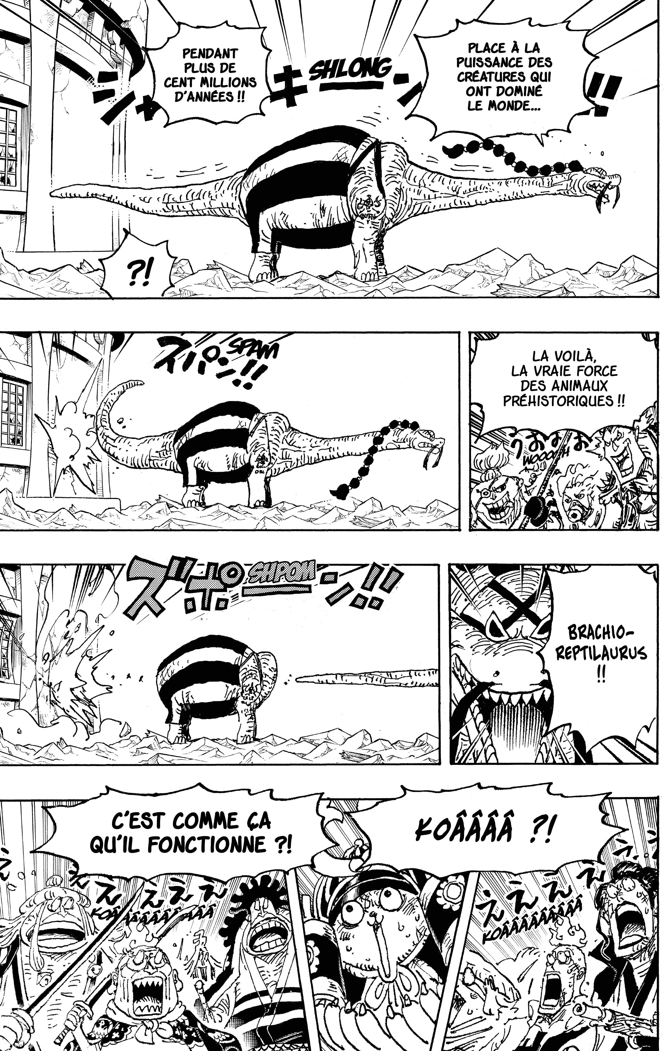 One Piece Chapitre 1028 - Page 12
