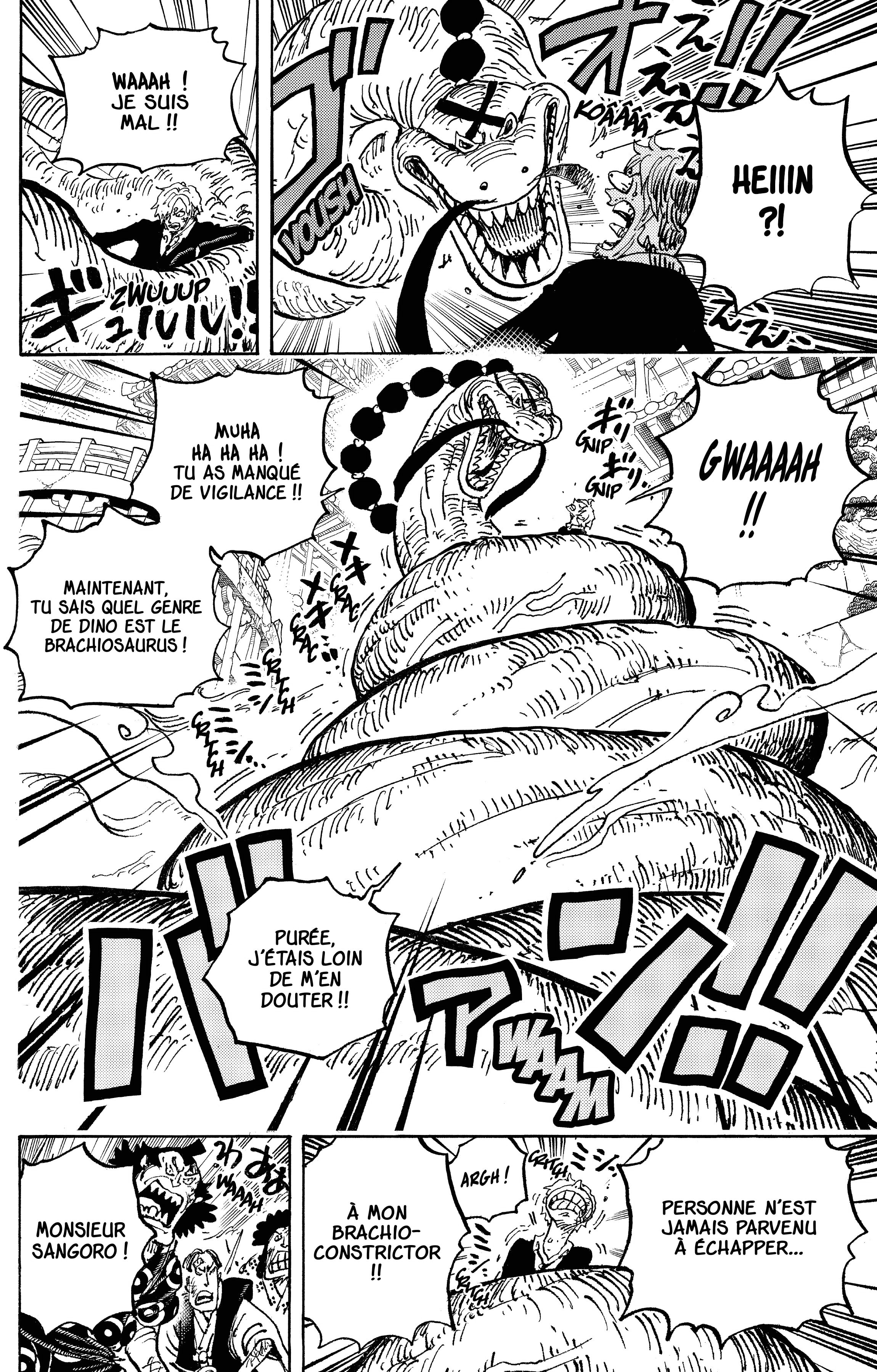 One Piece Chapitre 1028 - Page 13