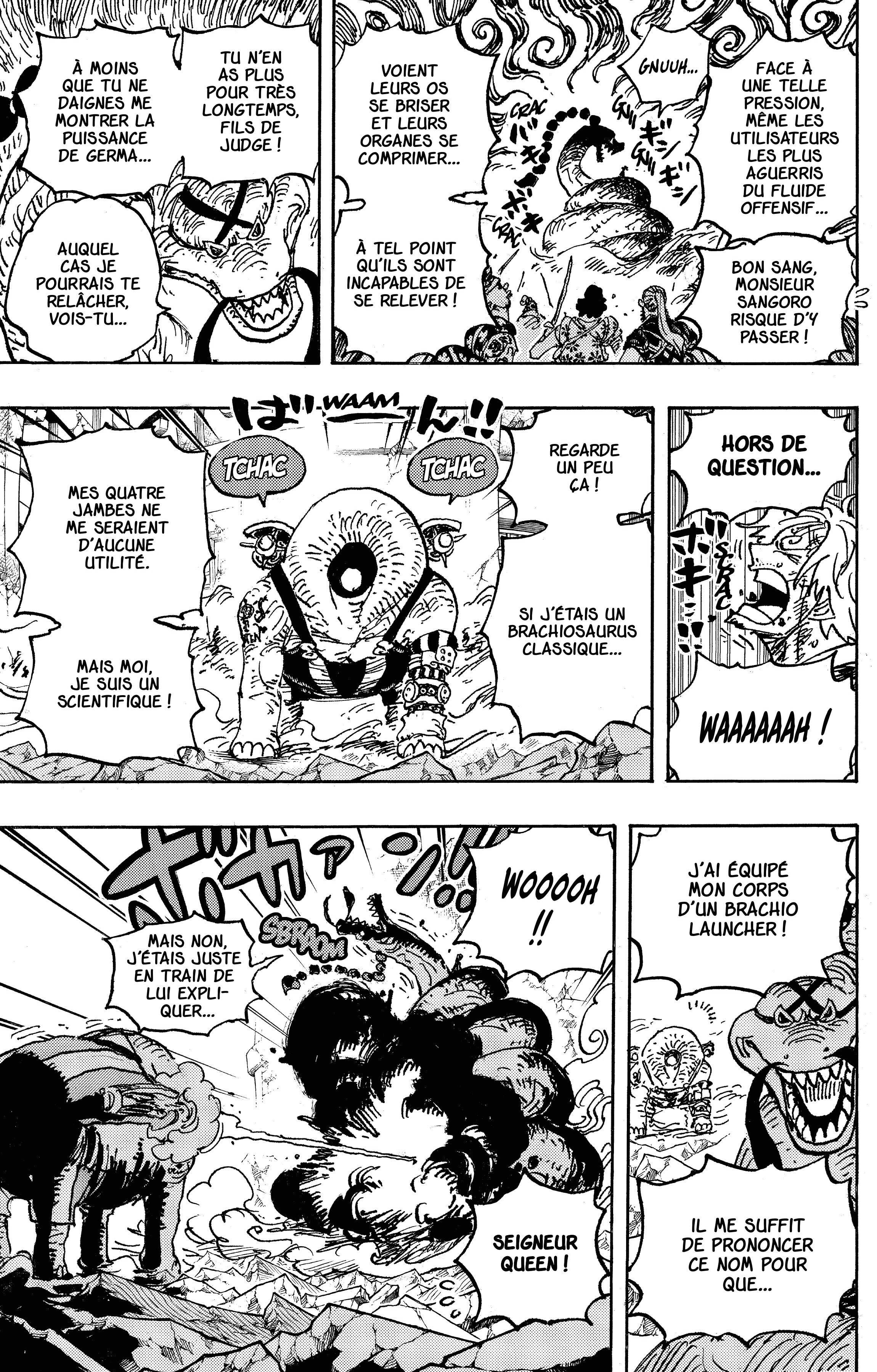 One Piece Chapitre 1028 - Page 14