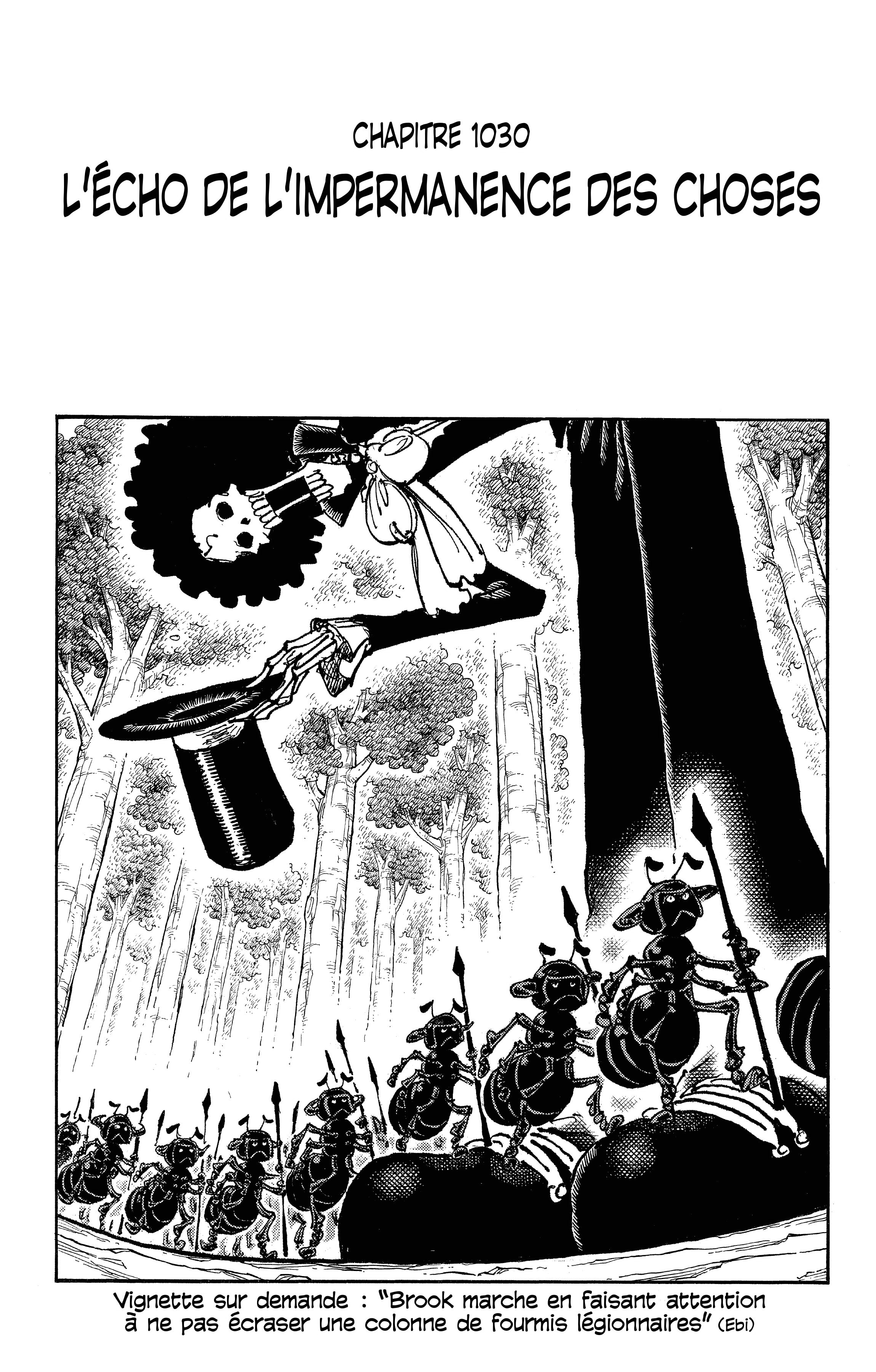 One Piece Chapitre 1030 - Page 1