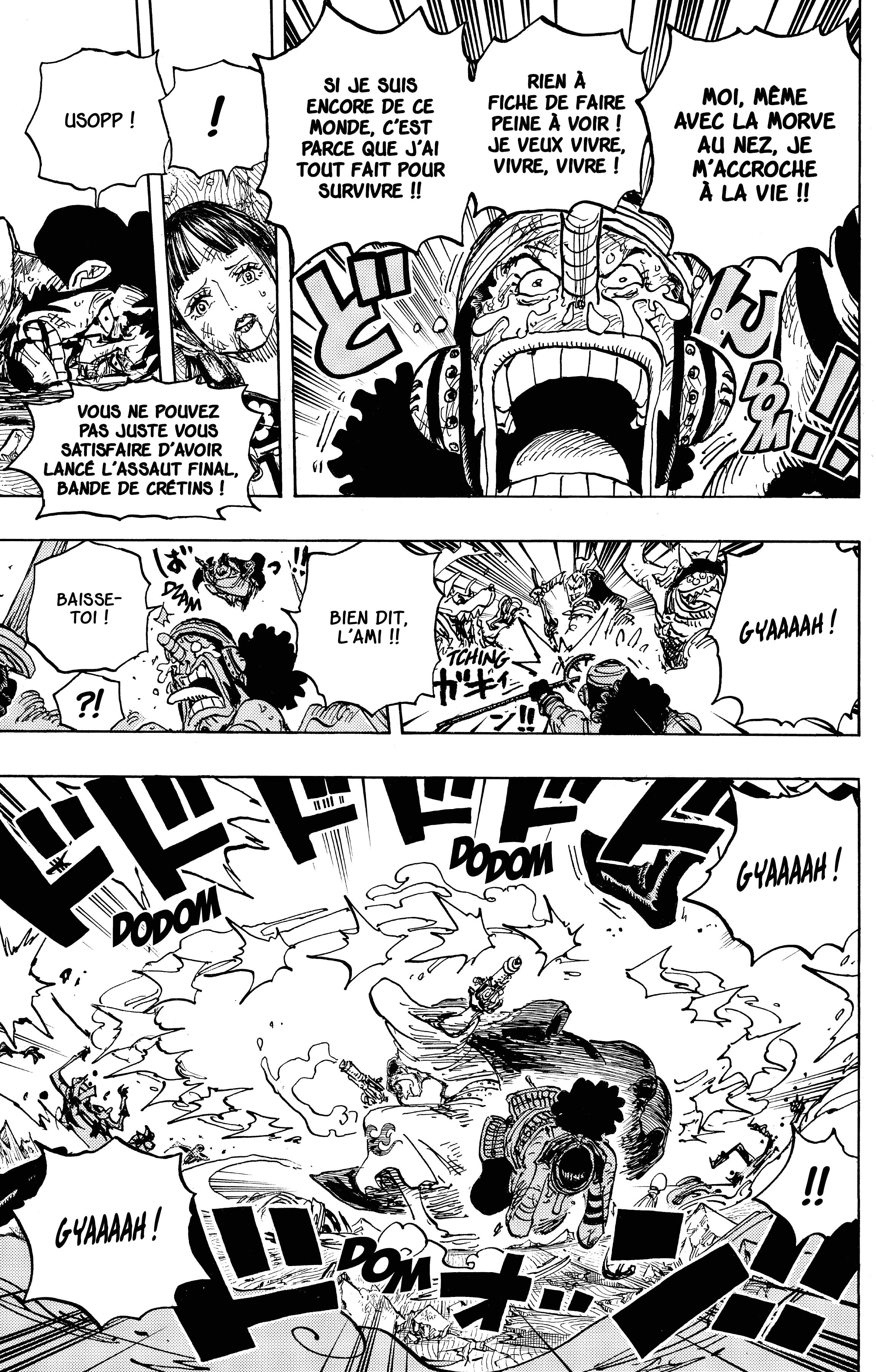 One Piece Chapitre 1036 - Page 17