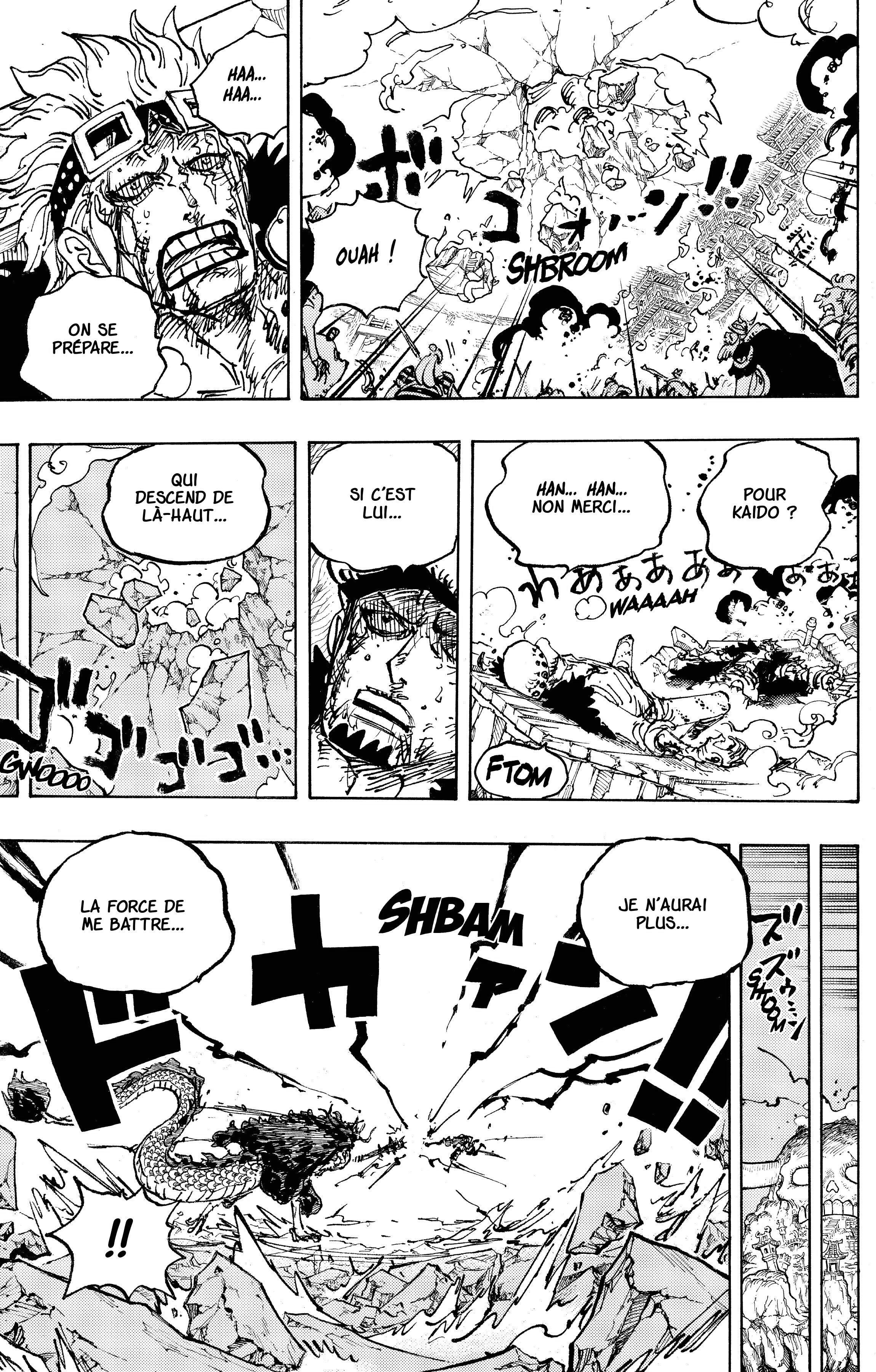 One Piece Chapitre 1041 - Page 13