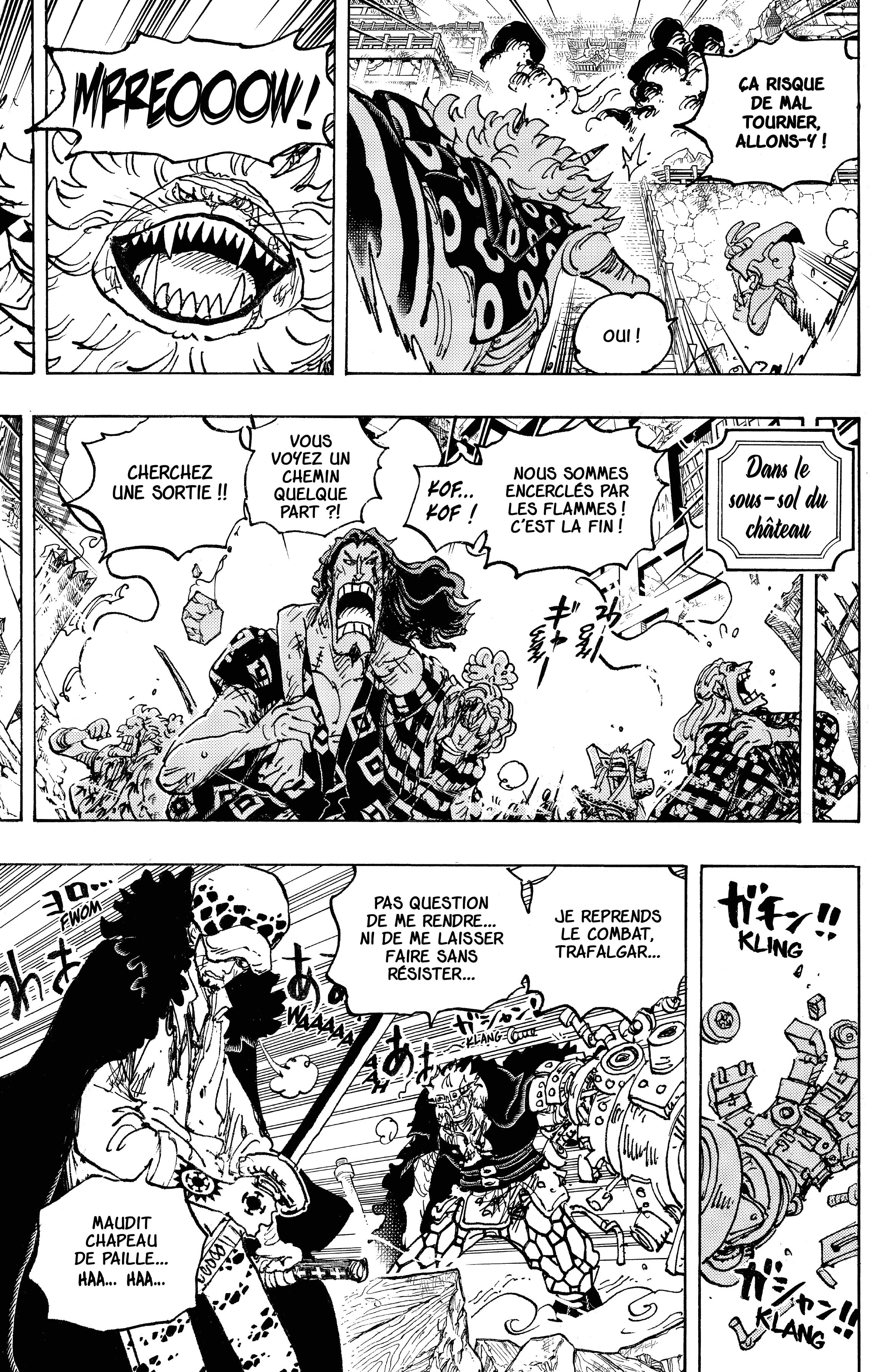 One Piece Chapitre 1043 - Page 11