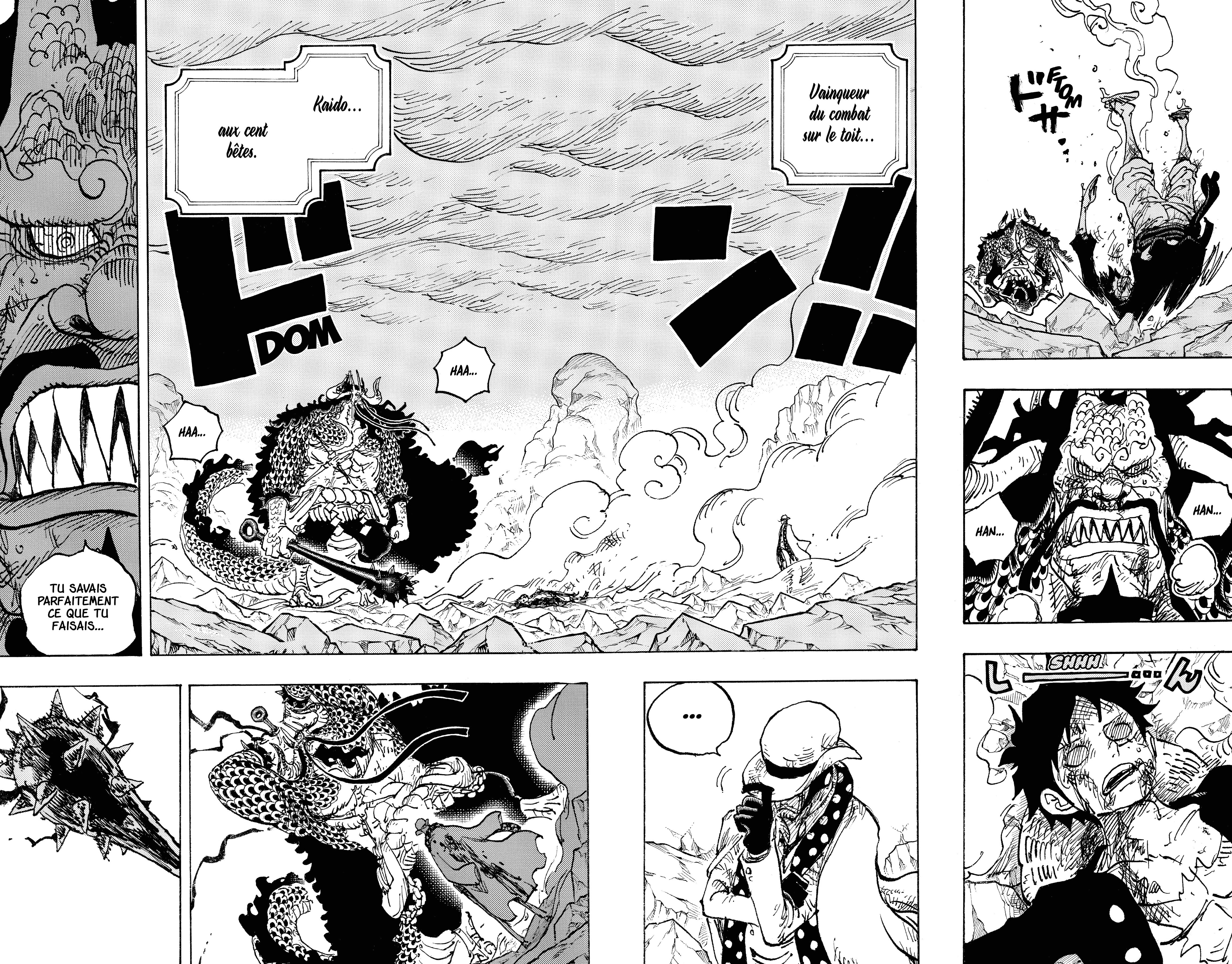 One Piece Chapitre 1043 - Page 4