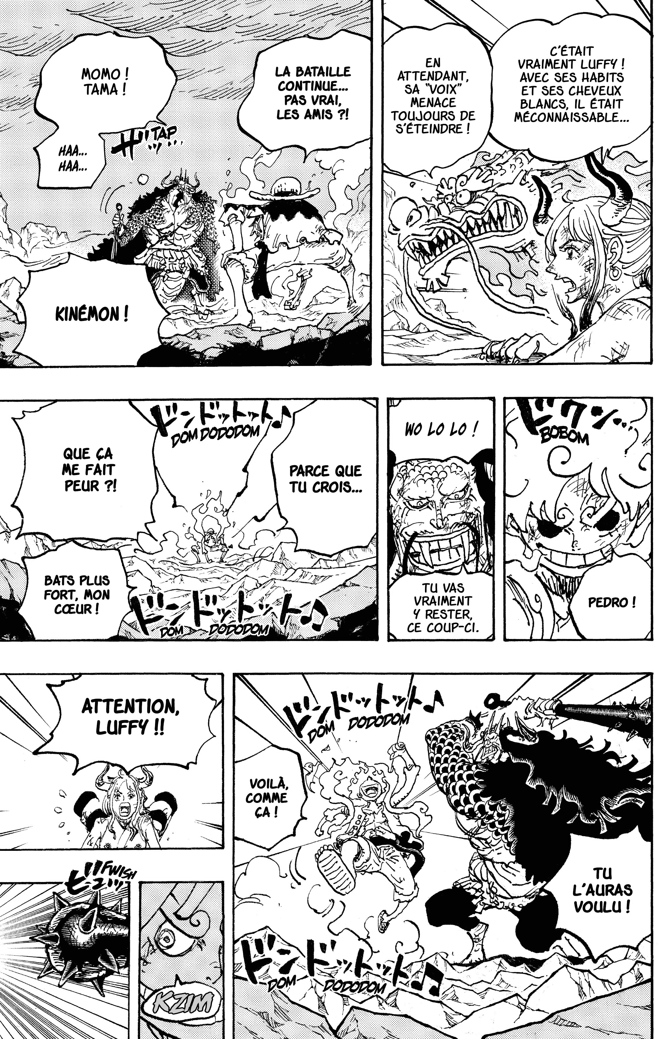 One Piece Chapitre 1045 - Page 13