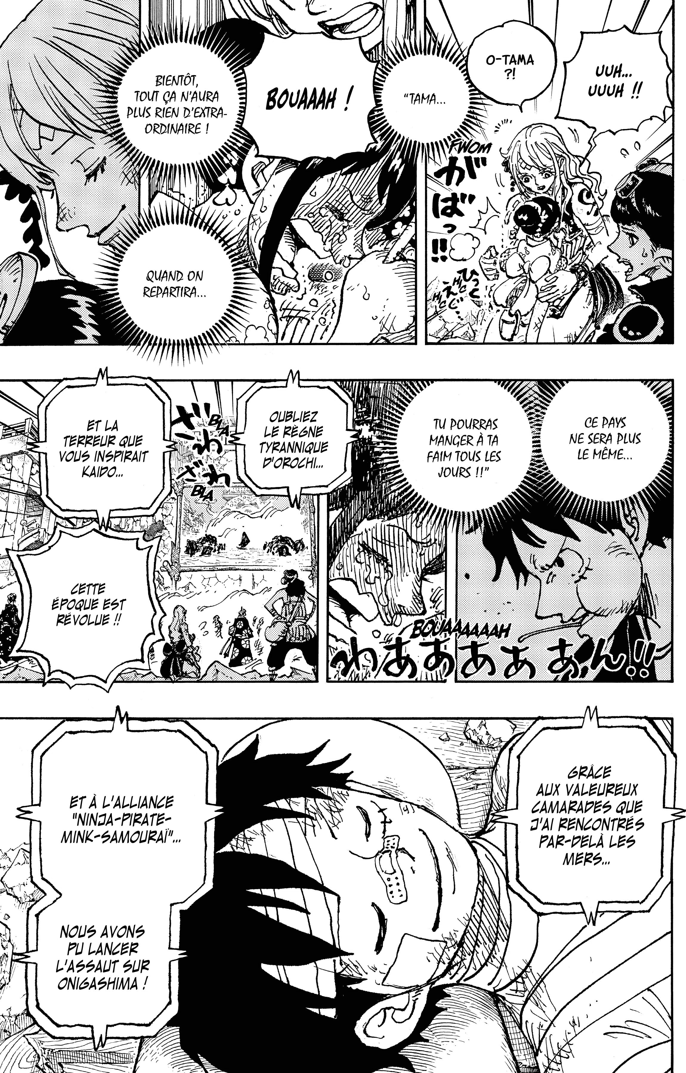 One Piece Chapitre 1051 - Page 11
