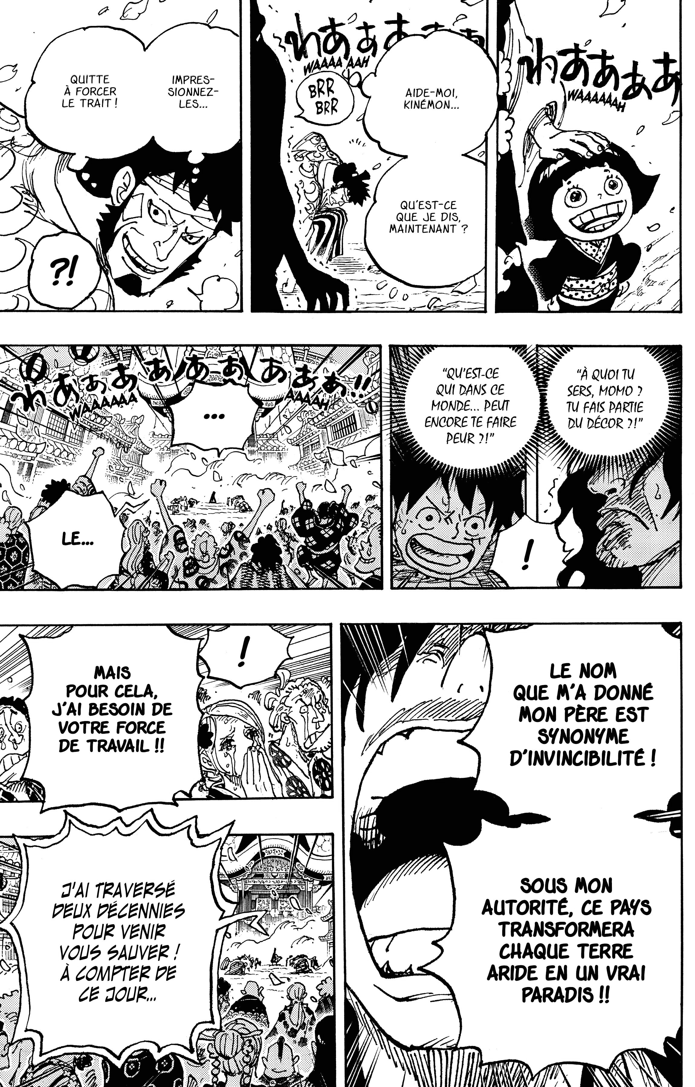 One Piece Chapitre 1051 - Page 13