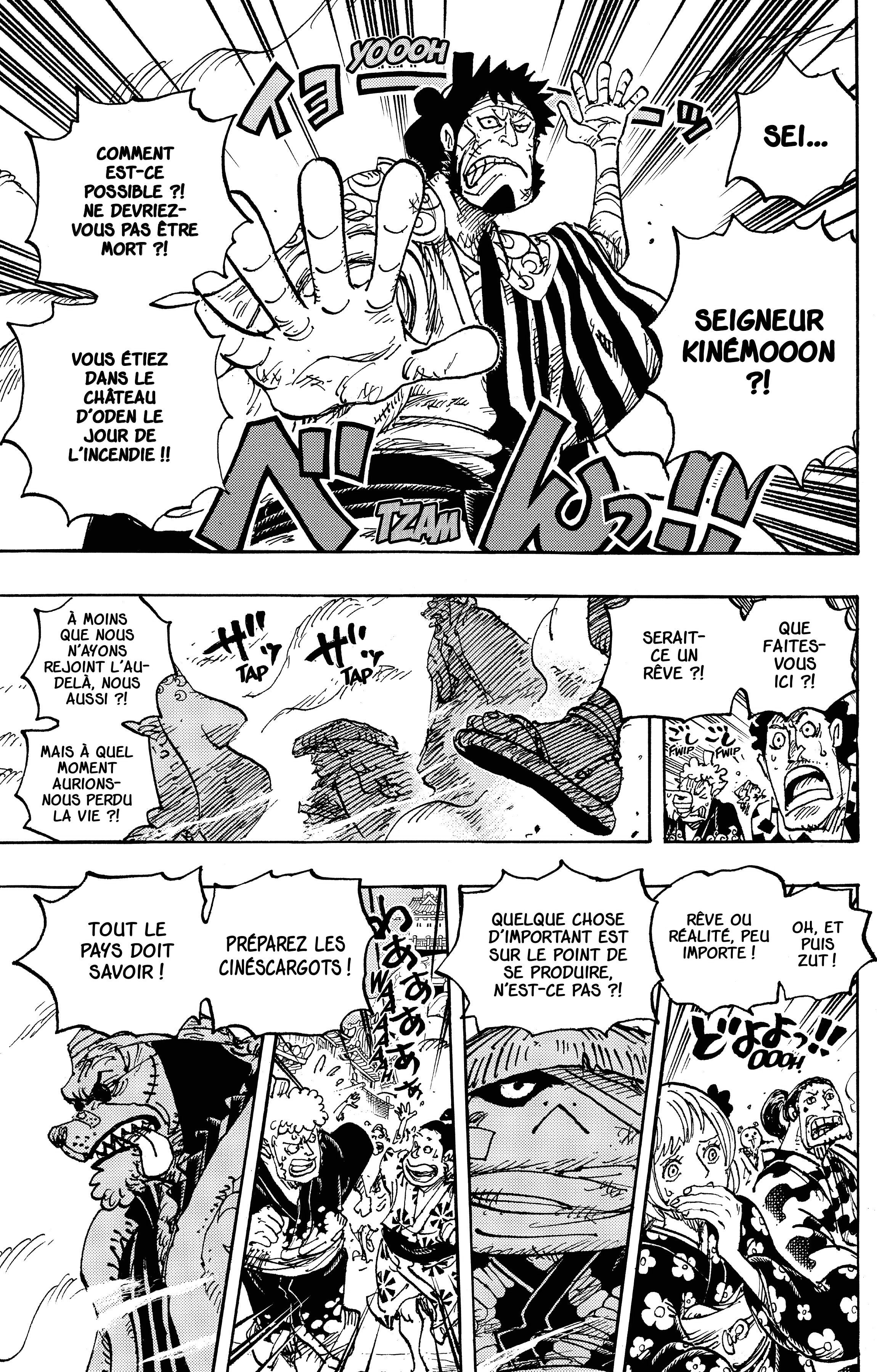 One Piece Chapitre 1051 - Page 3