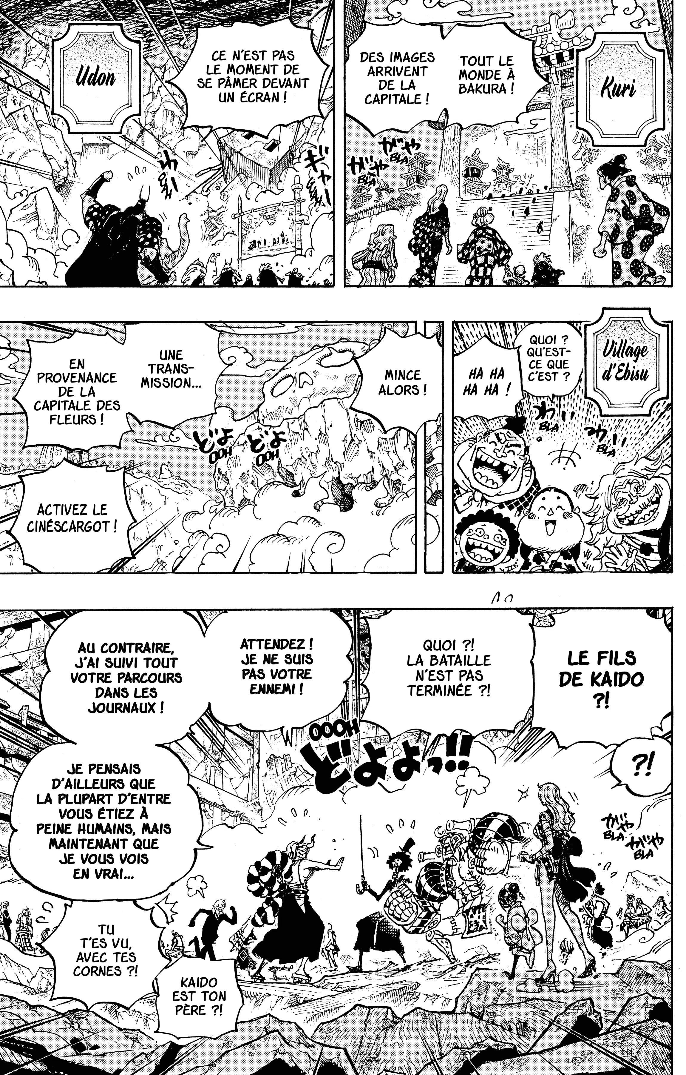 One Piece Chapitre 1051 - Page 5