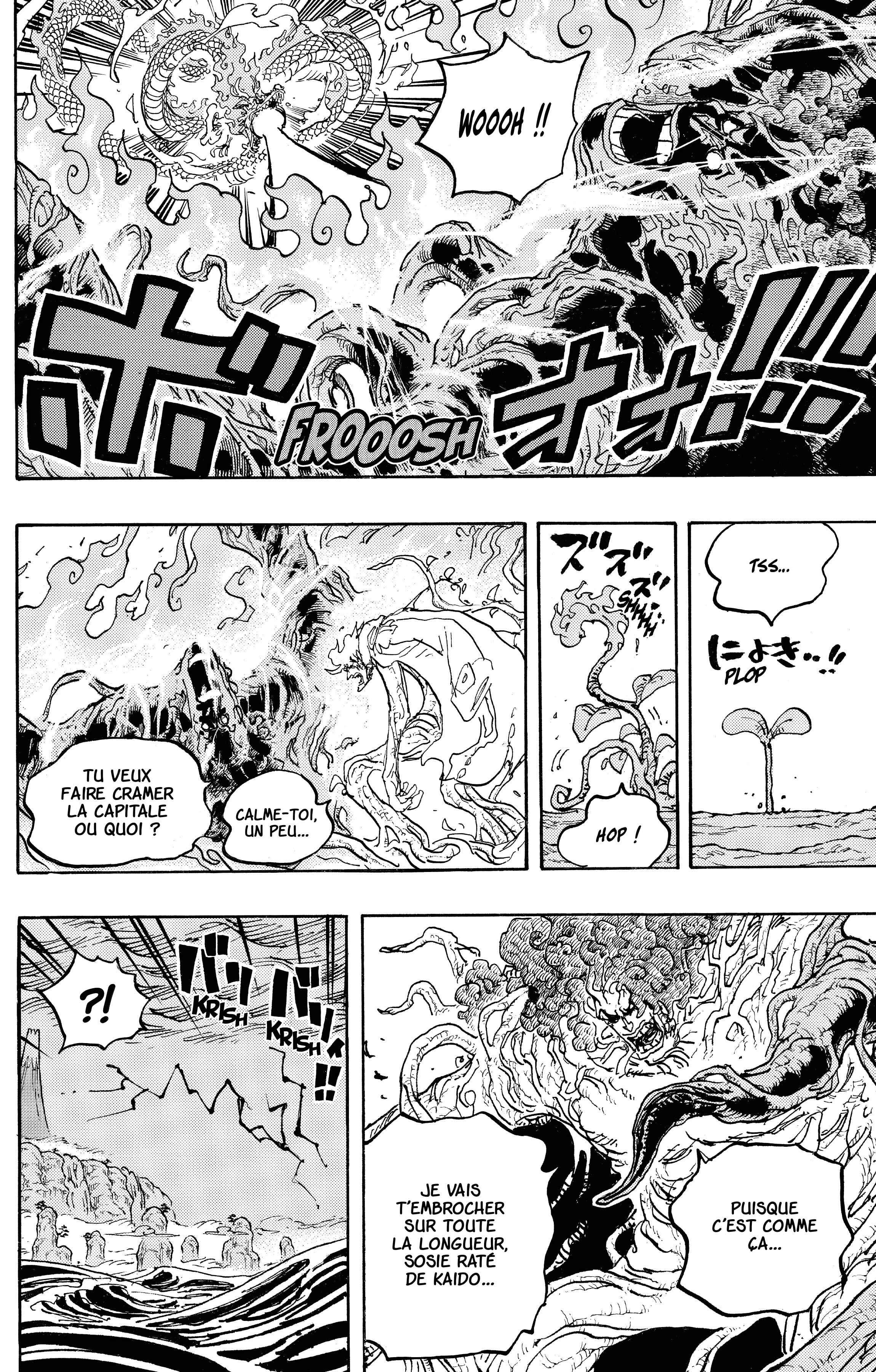 One Piece Chapitre 1055 - Page 13