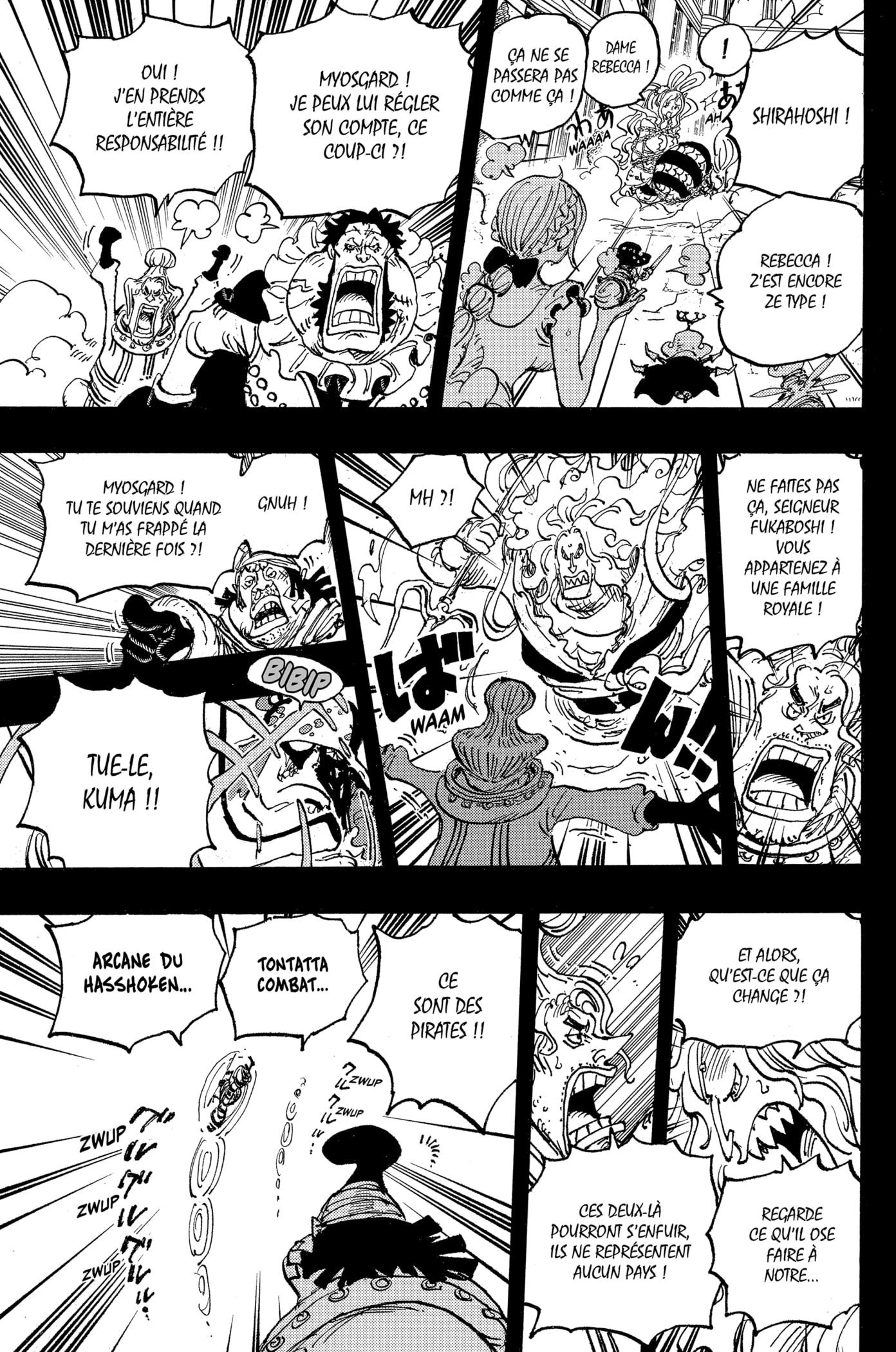 One Piece Chapitre 1084 - Page 14