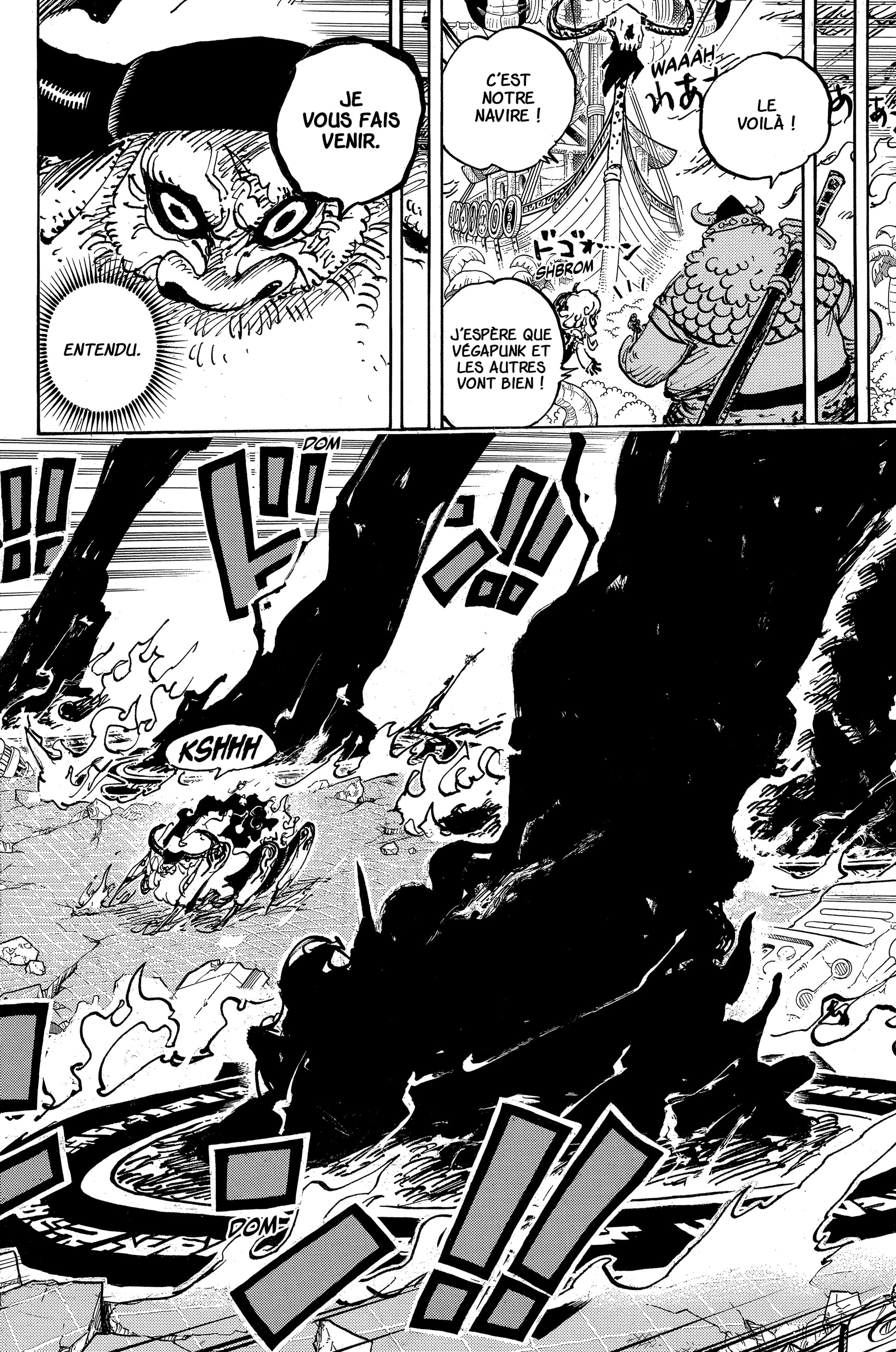 One Piece Chapitre 1109 - Page 14