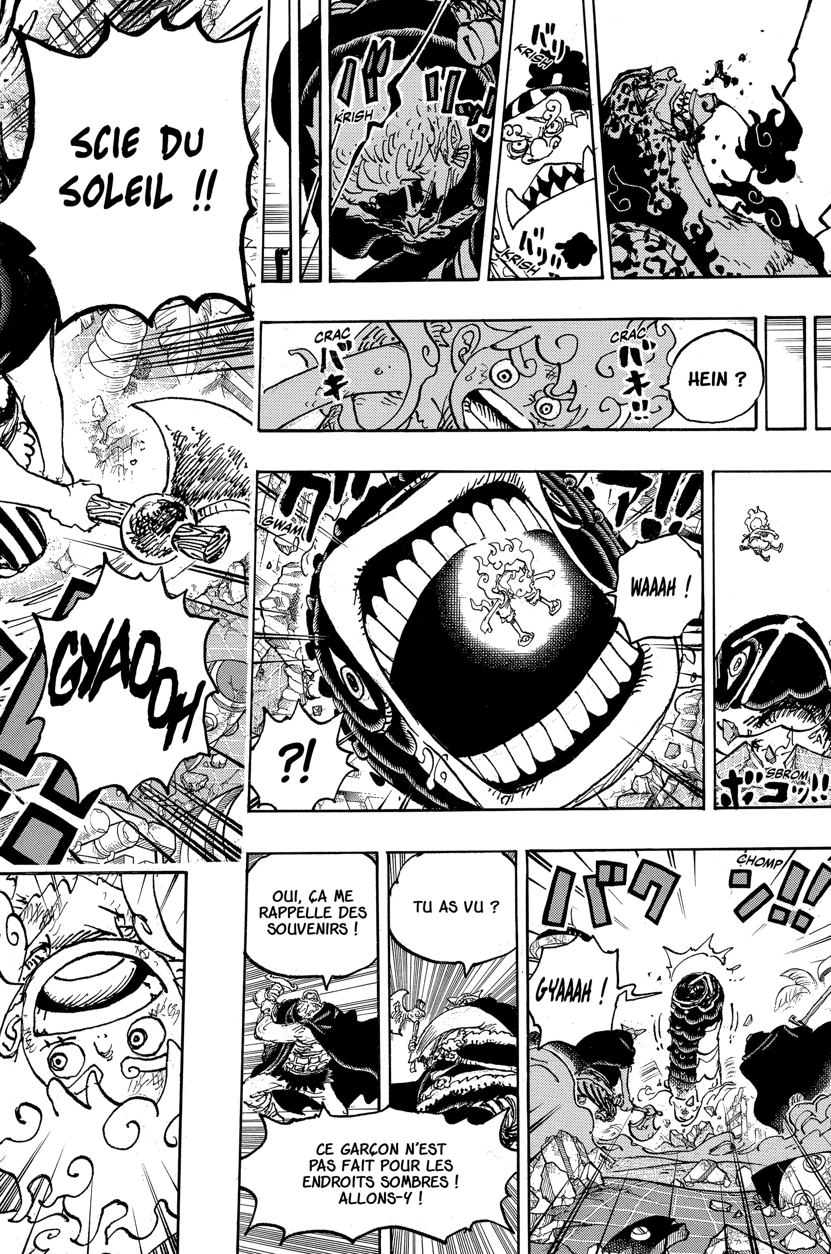 One Piece Chapitre 1110 - Page 13