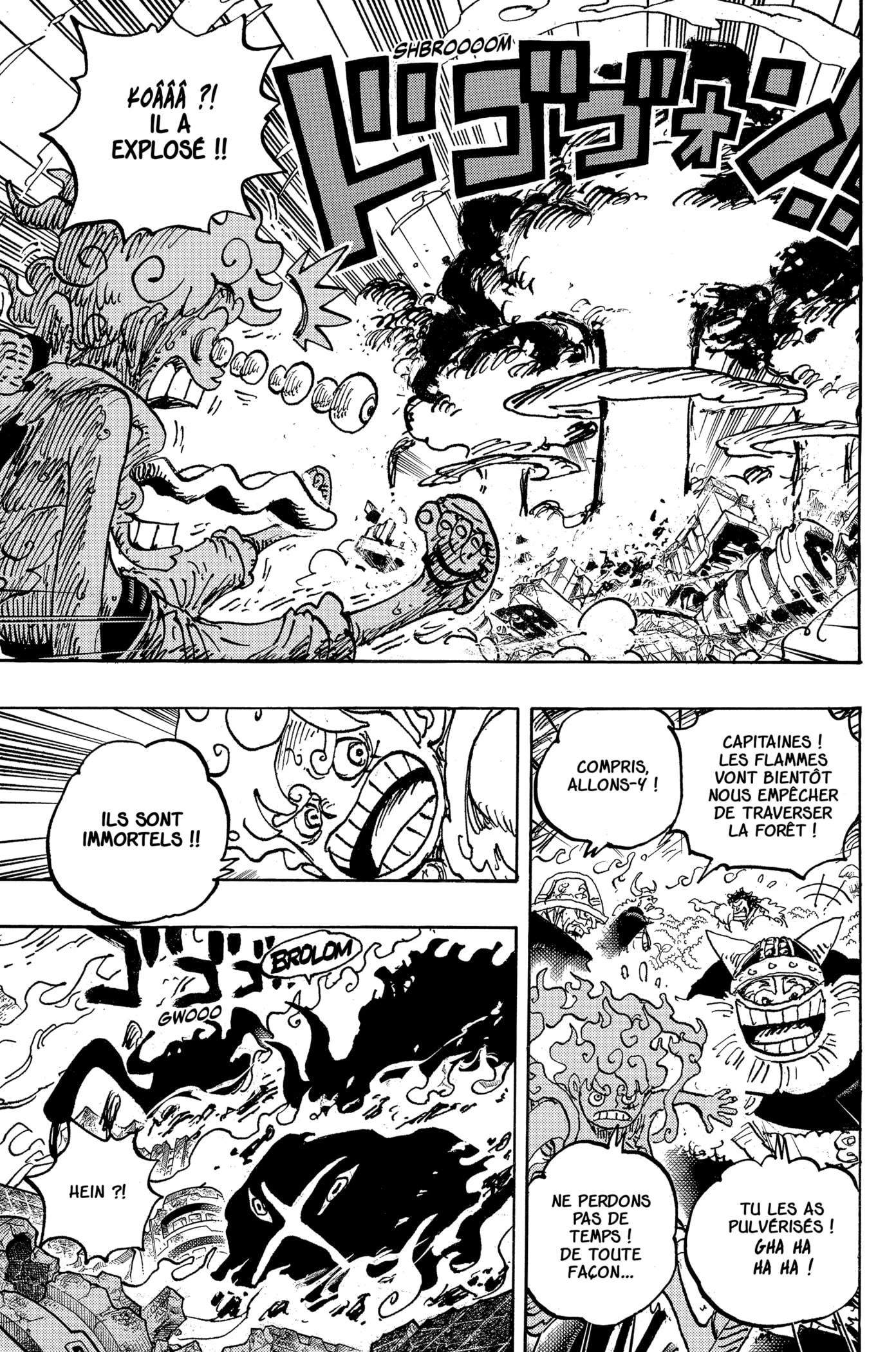 One Piece Chapitre 1111 - Page 15