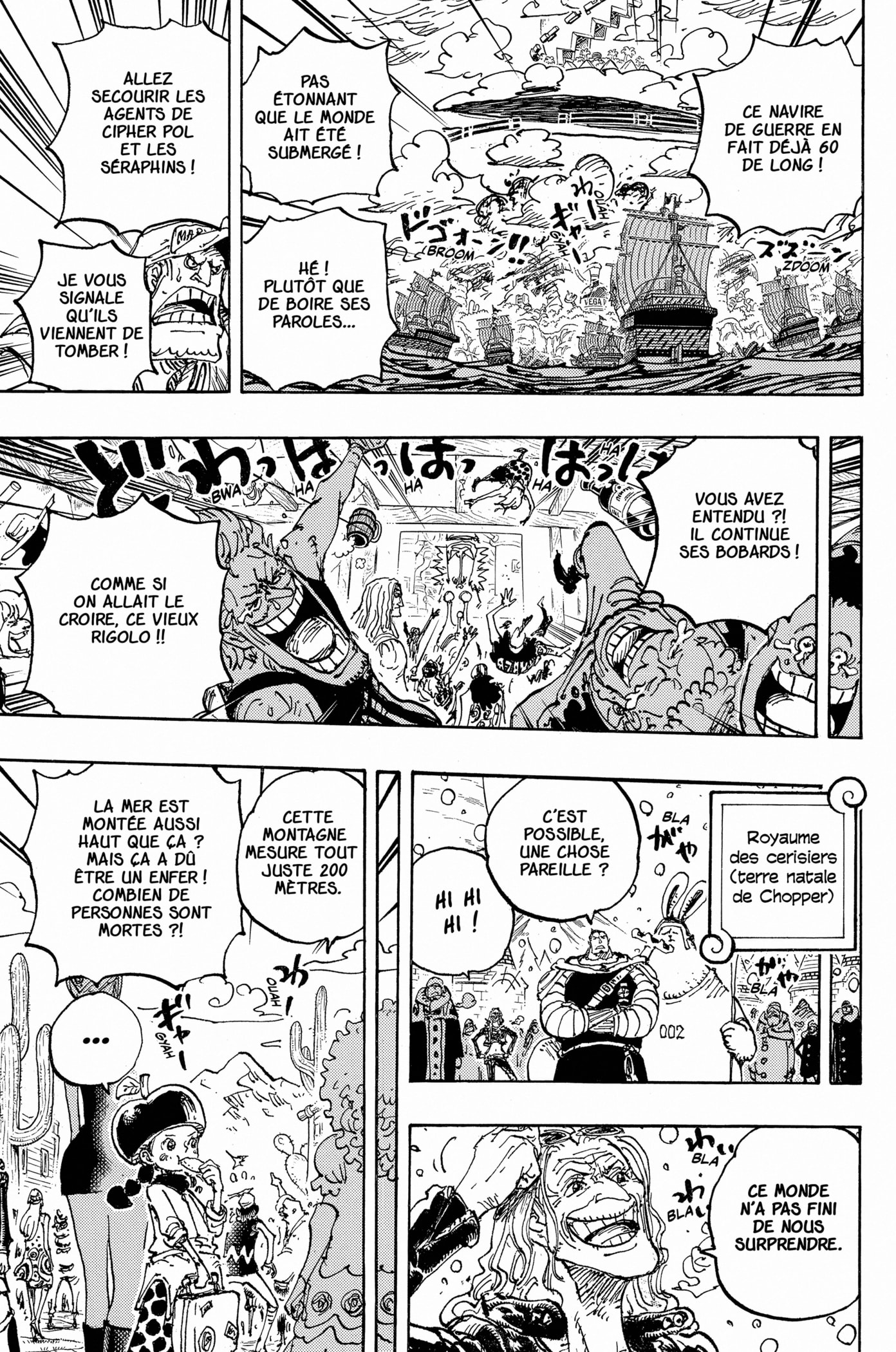 One Piece Chapitre 1115 - Page 13